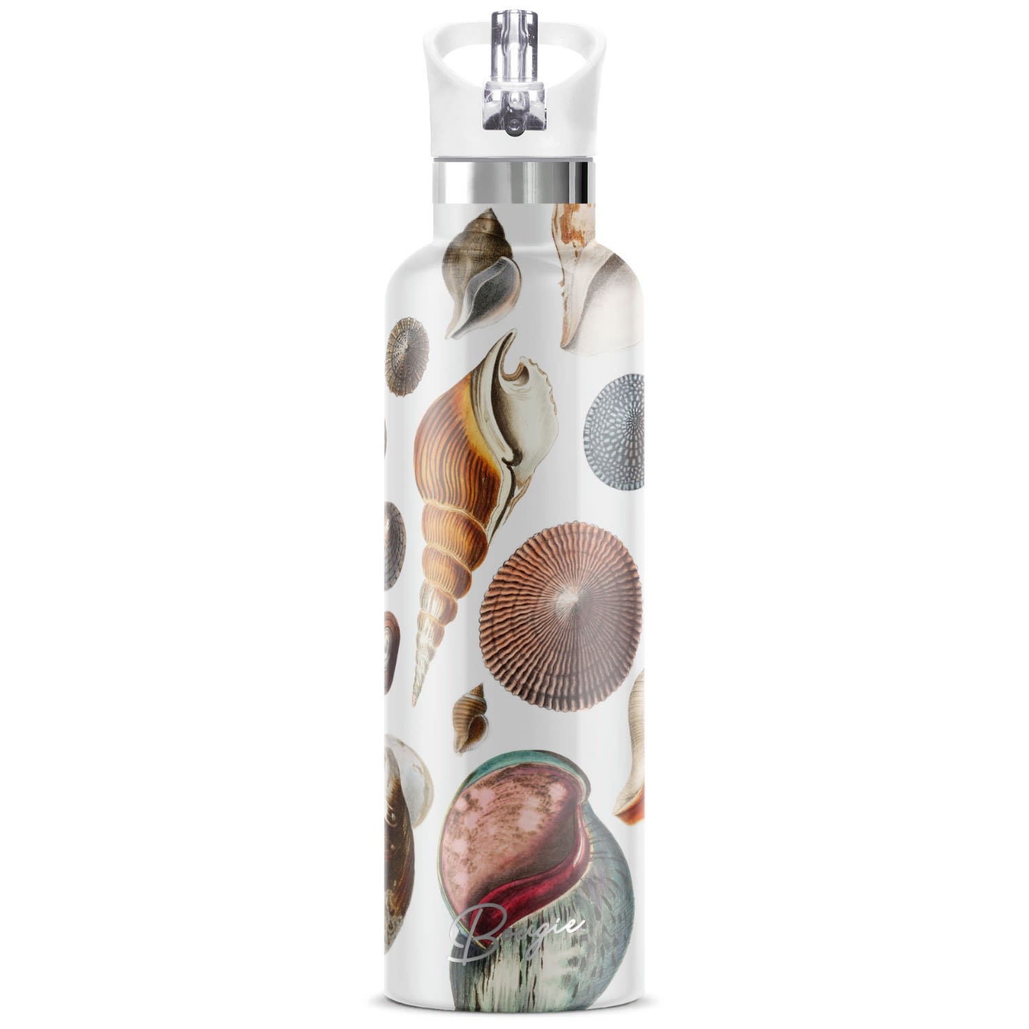 My Bougie Bottle White Conchas Maris Seashell Insulated Water Bottle