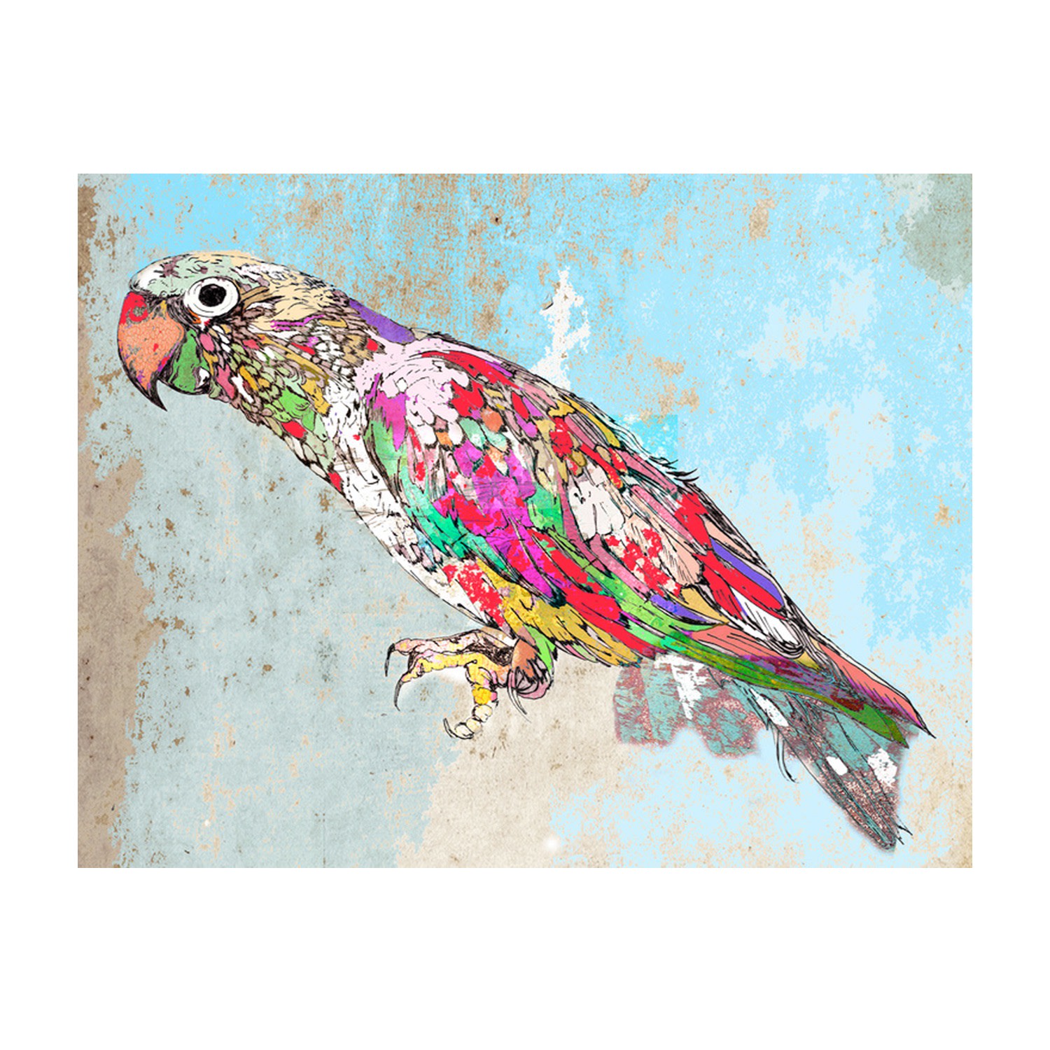 The Tropical Parrot Signed Limited Edition Print Jessica Russell Flint