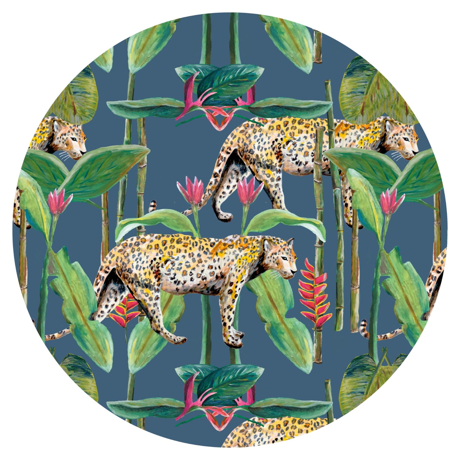 Green Circle Wall Sticker Jungle Stories Panther Catchii