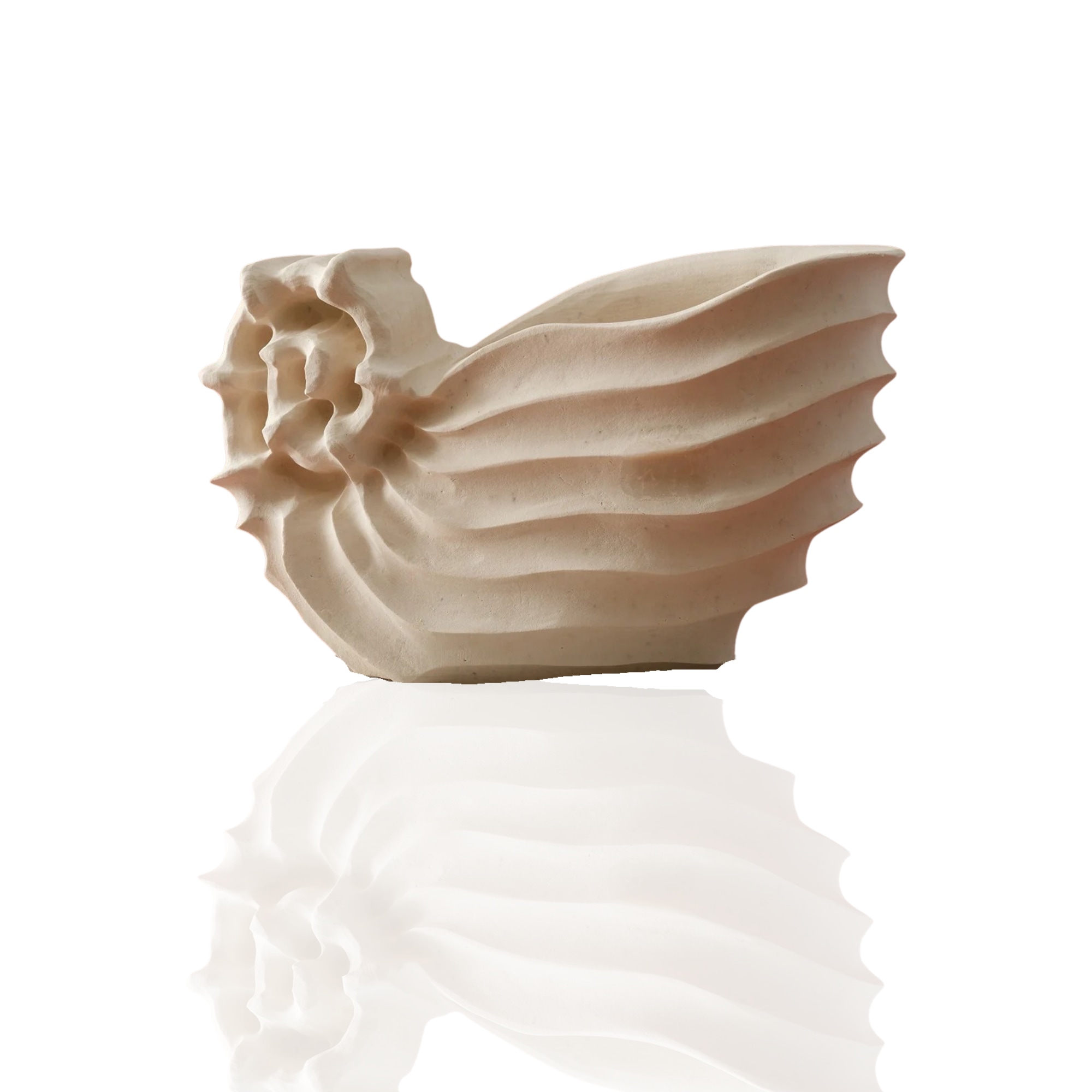 Marleth Neutrals / White Hand-carved Marble Nautilus Sculpture – Cream Organic Coastal Decor
