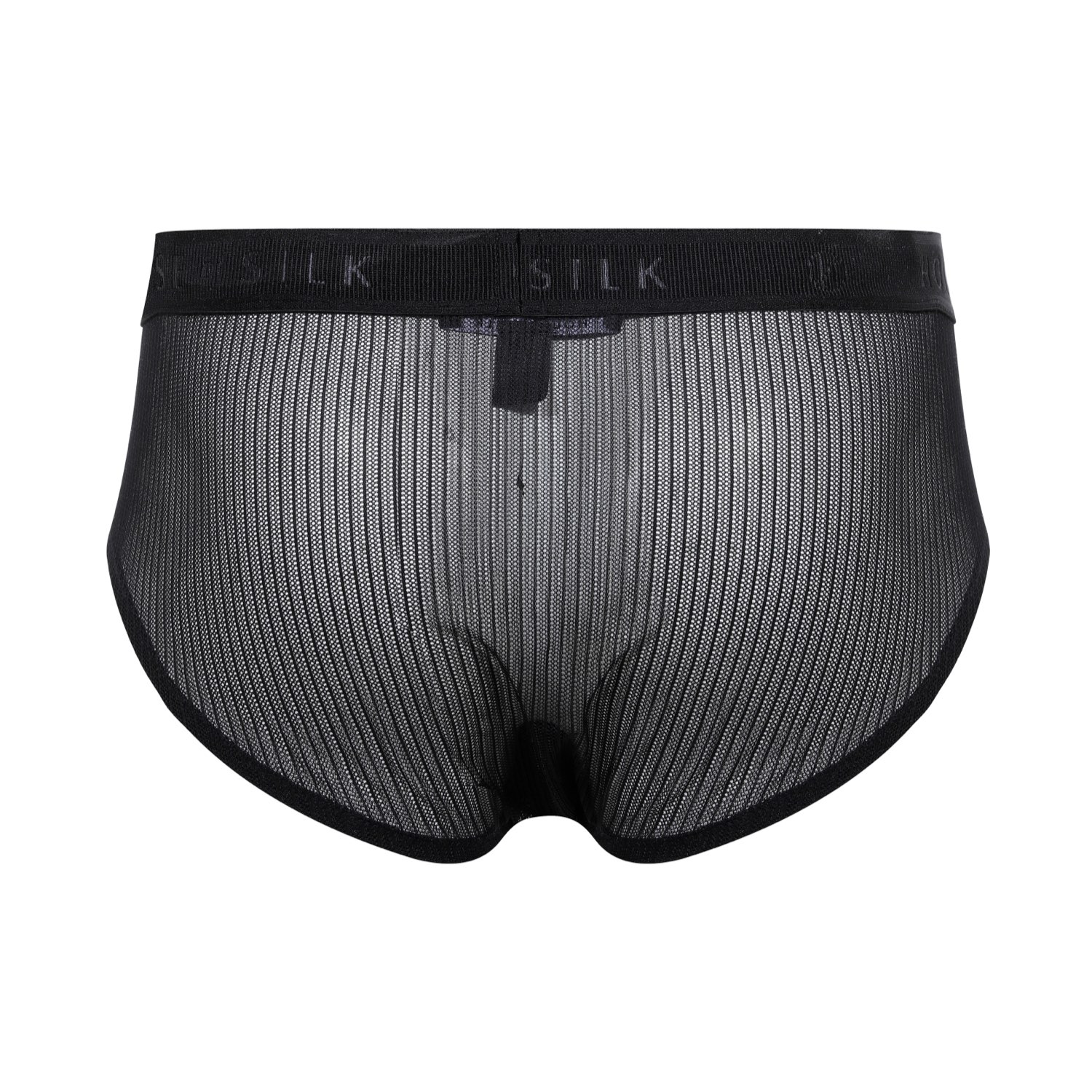 House Of Silk Fleur Tulle Men's Brief Black In Black