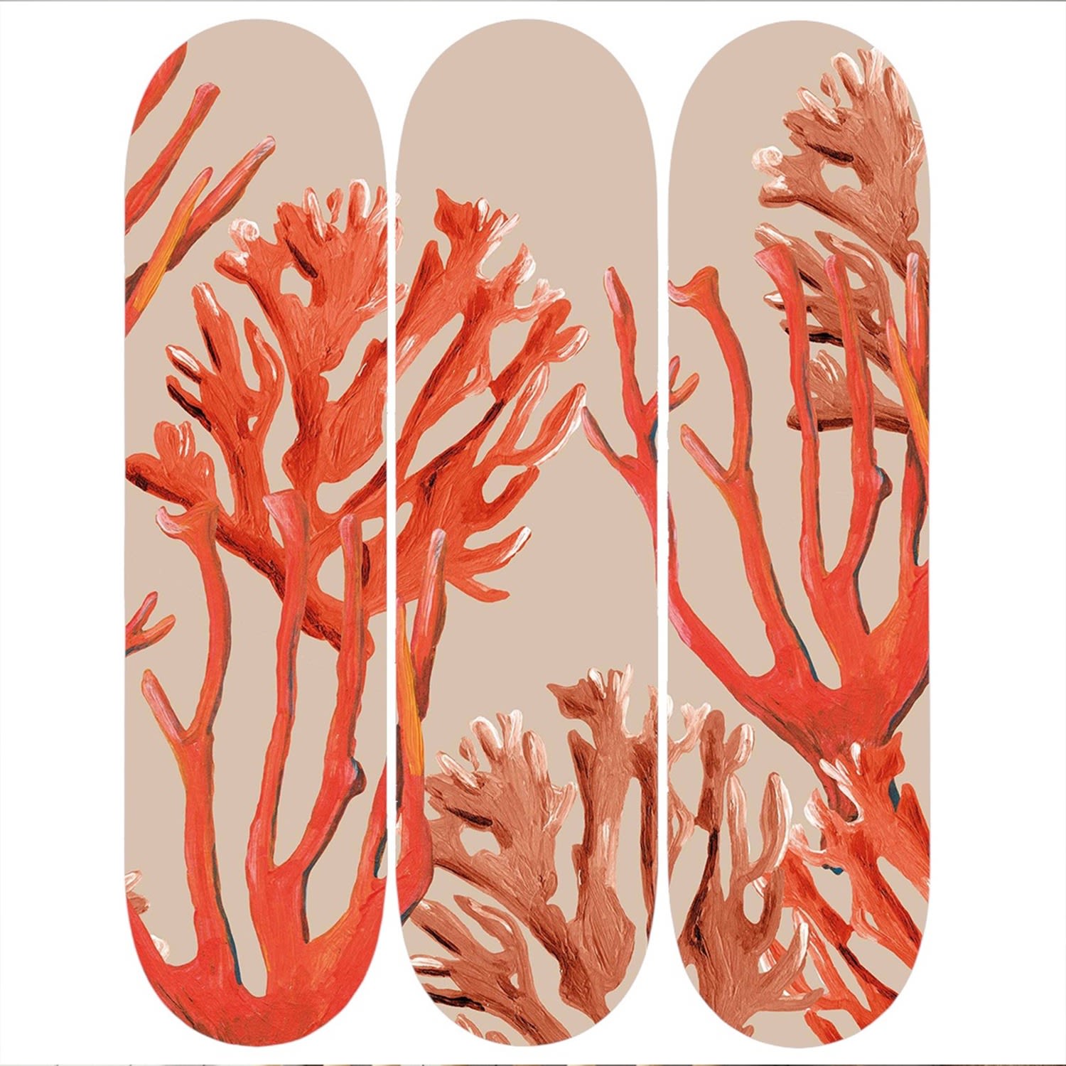 Skateboard Decks Wall Decor Red Coral Set Of Three Catchii