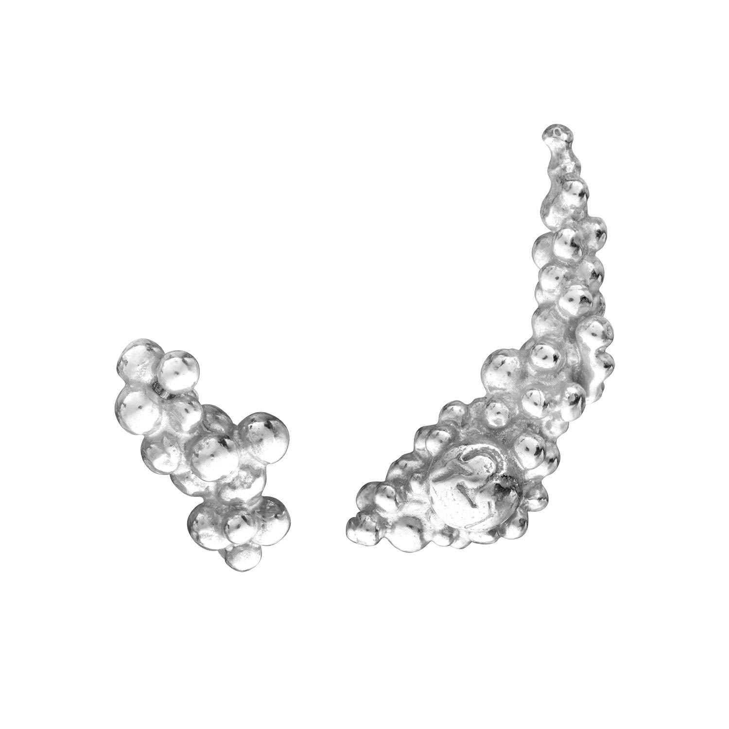Eva Remenyi Women's Céleste Deux Asymmetrical Stud Earrings Silver In Metallic