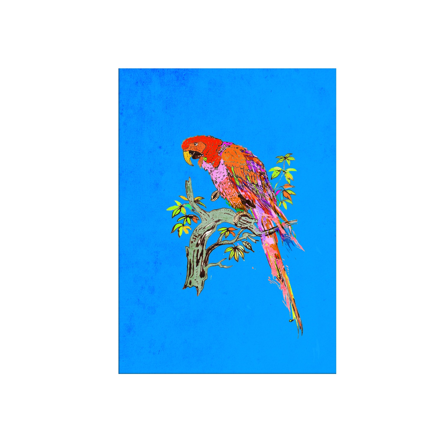 Jessica Russell Flint Blue The Proper Parrot Limited Edition Signed Print In Animal Print