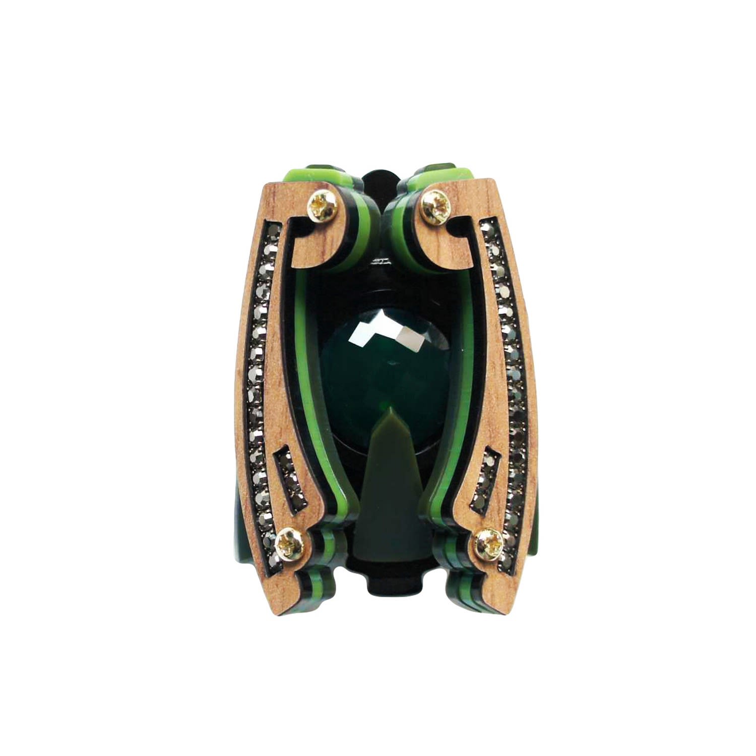 Gissa Bicalho Women's Handmade Acrylic Brooch Moth Green In Multi