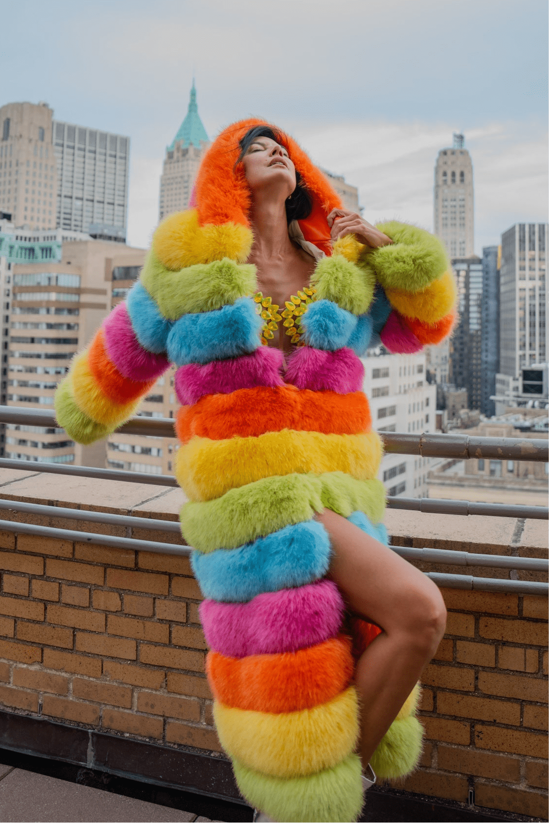 Over The Rainbow Faux Fur Coat | HARMONIA NY | Wolf & Badger