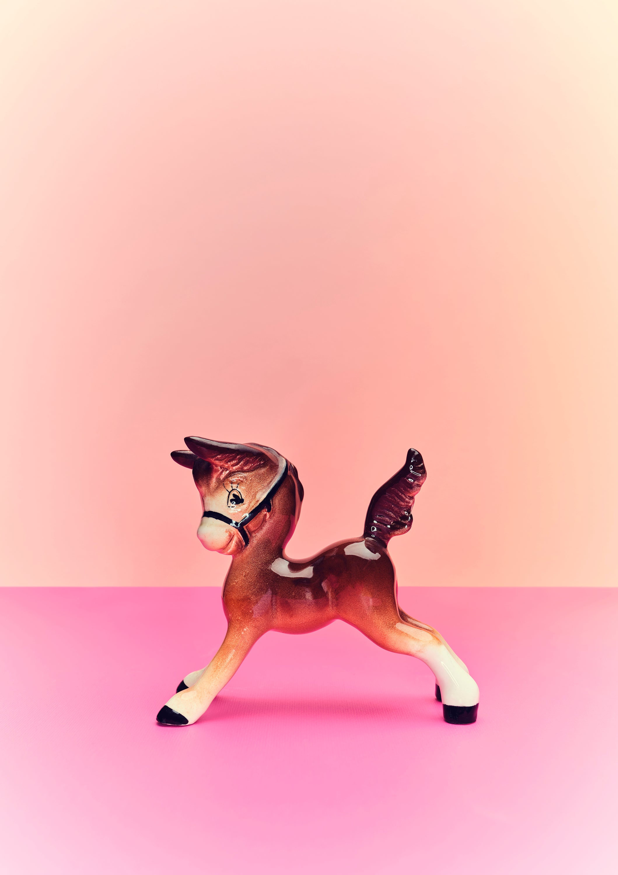 Ornament Art Pink / Purple / Brown Playful Foal Giclée Photo Print