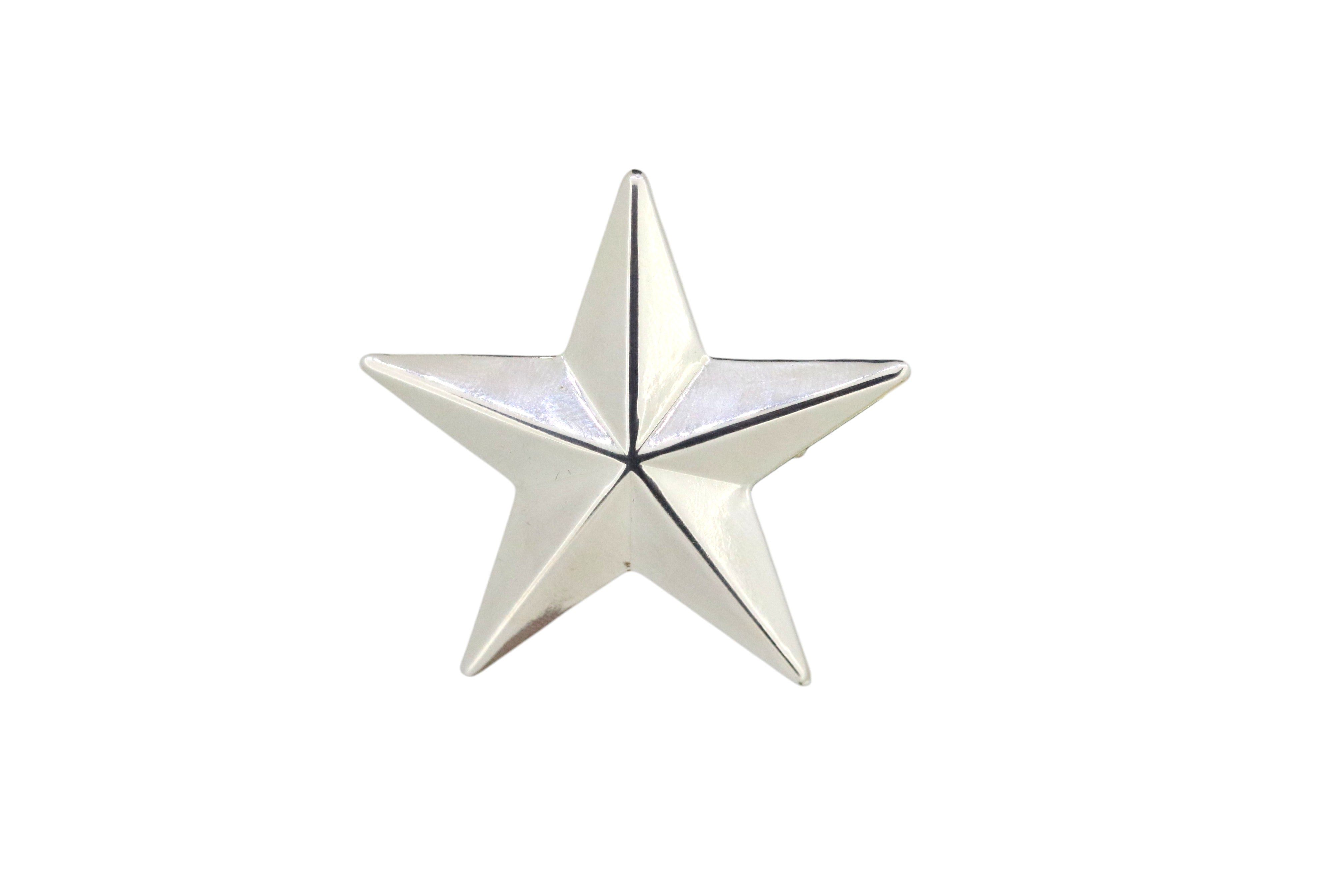 Vickisarge Women's Big Star Pin In Silver In Silver