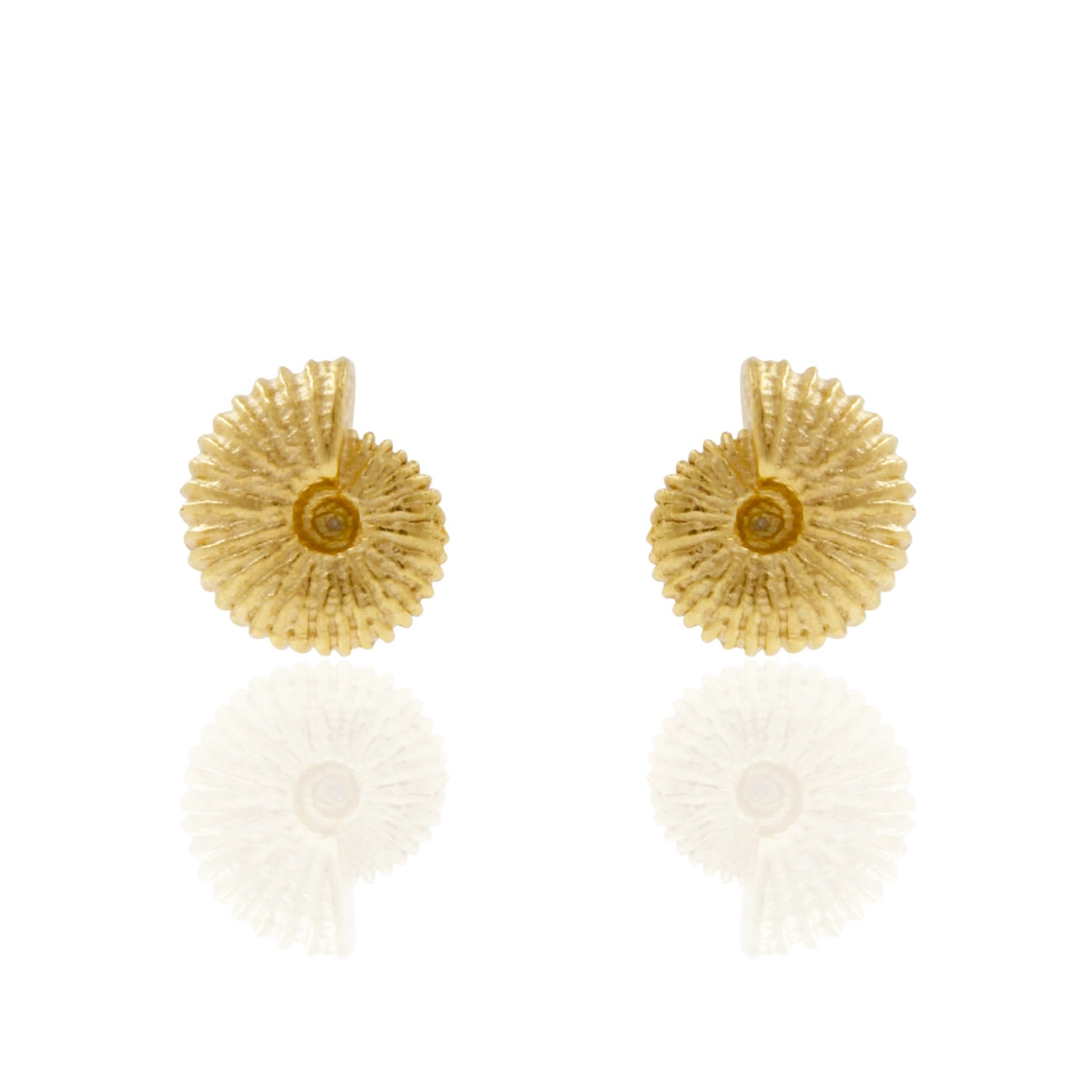 Lee Renee Women's Ammonite Earrings - Gold In Gold