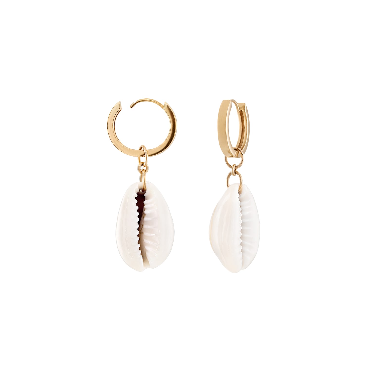 Zigleys Women's Gold Cowrie Shell Earrings In Gold