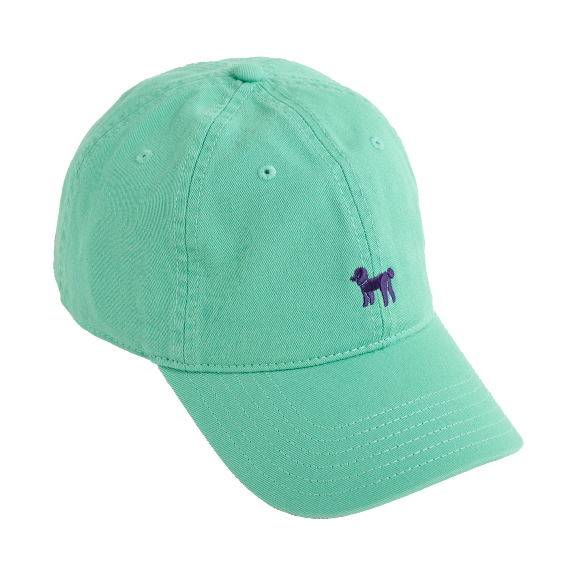 Lost Pattern Nyc Women's Pan Pan Baseball Cap - Teal Green In Green