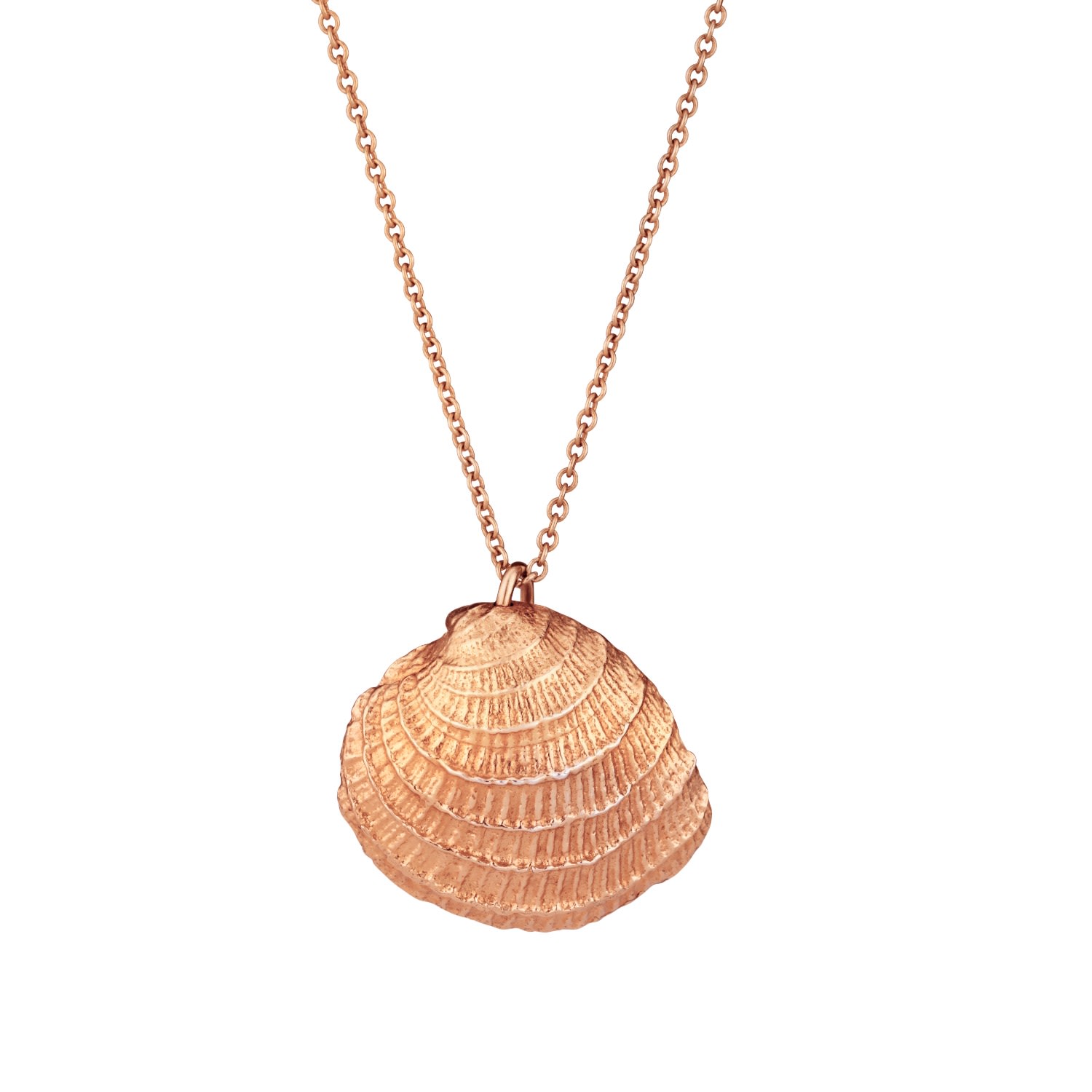 Posh Totty Designs Women's Rose Gold Plated Clam Shell Necklace In Gold