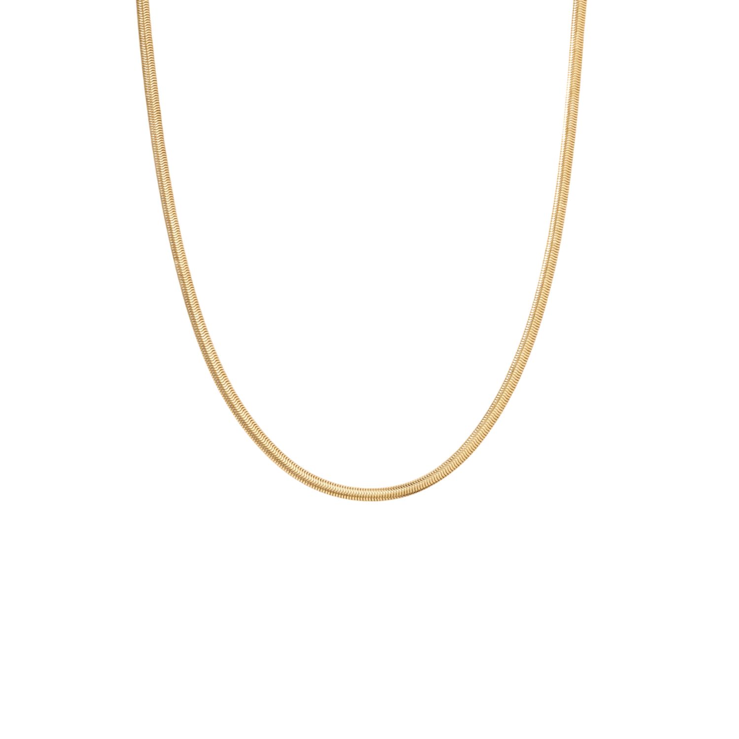 Vanchi Women's Estelle Herringbone Chain Necklace In Gold In Gold