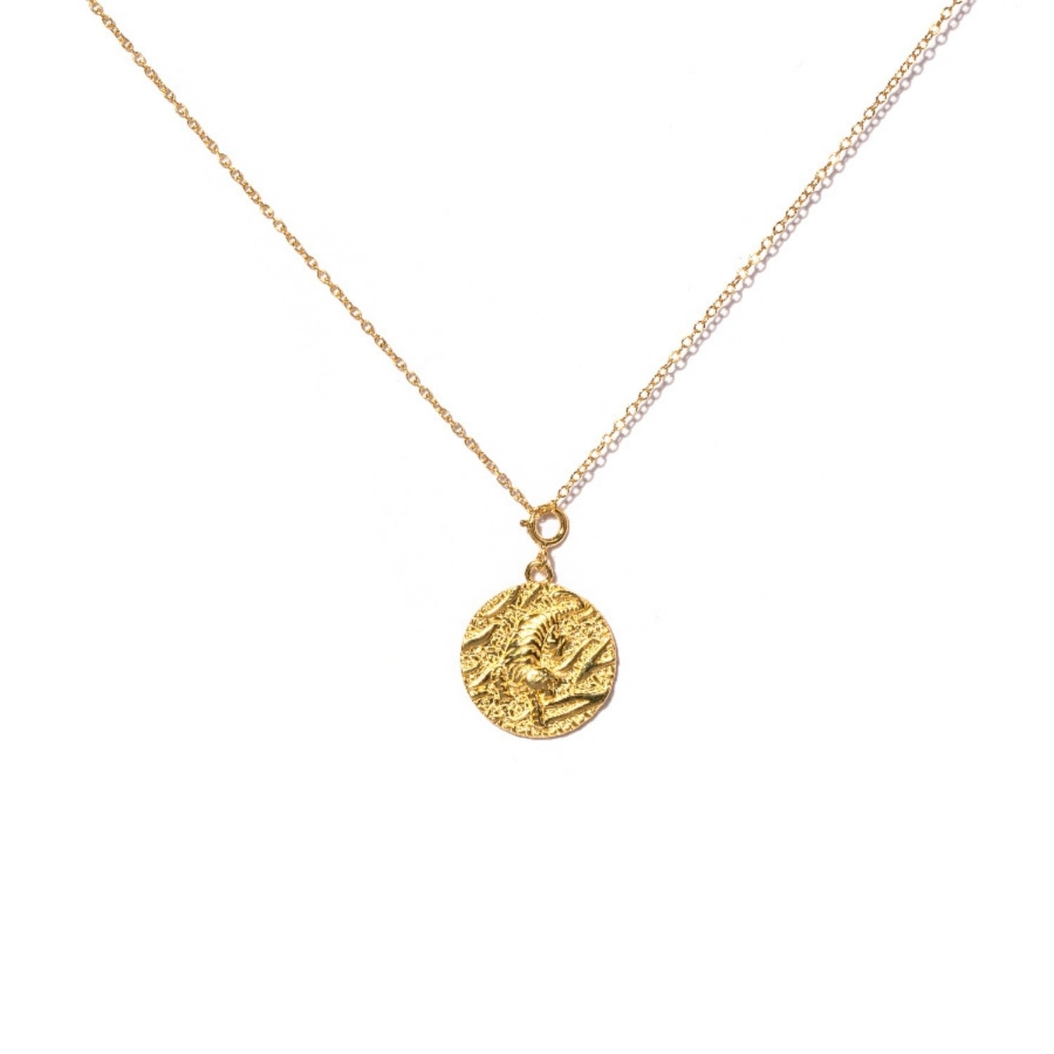 Women’s Gold Tiger Coin Necklace Little Sky Stone