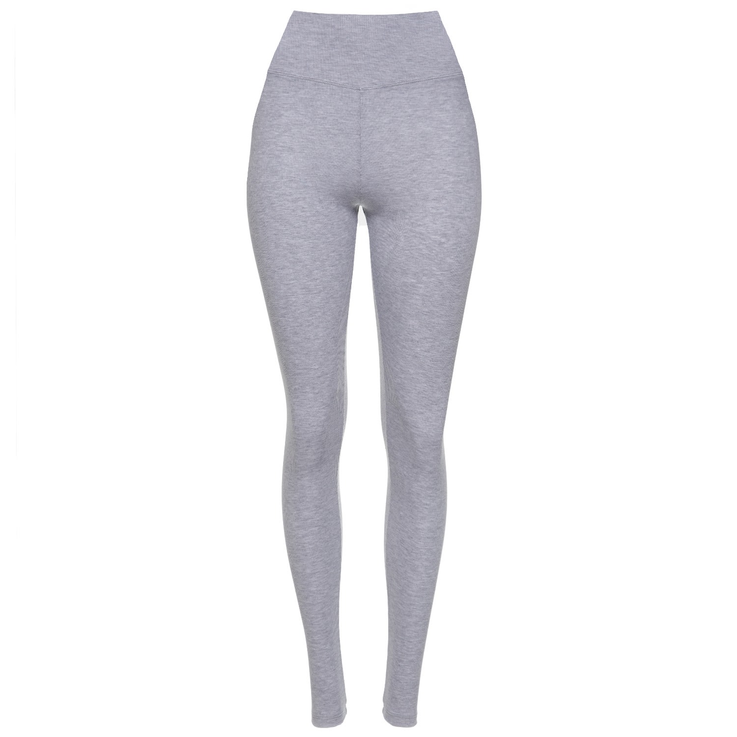 Earth Body Women's Barre Ballectic Rhythmic Ribbed Sculpt-body Legging In Grey In Grey