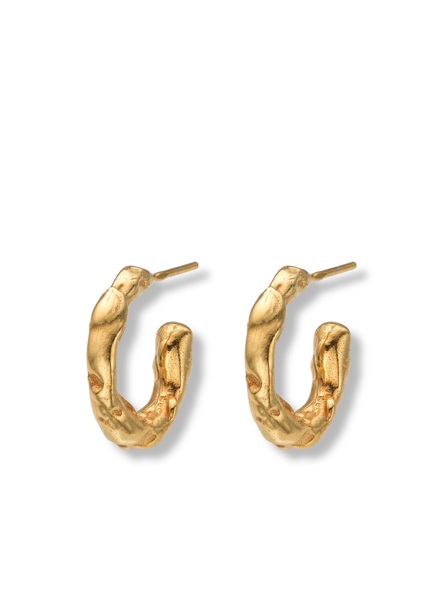 Eva Remenyi Women's Talisman Small Hoop Earrings Gold In Gold