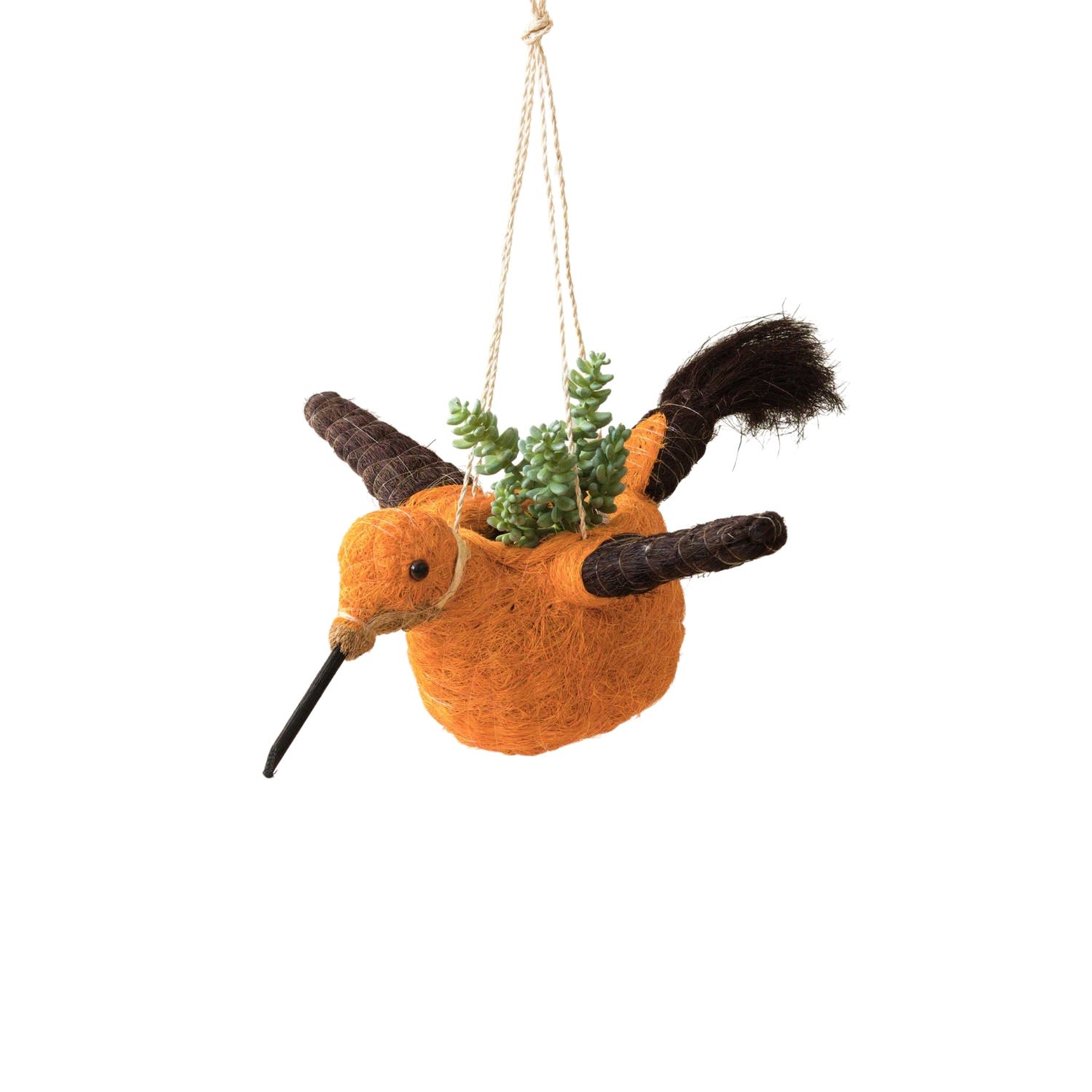 Coco Coir Animal Planter Hummingbird Likh