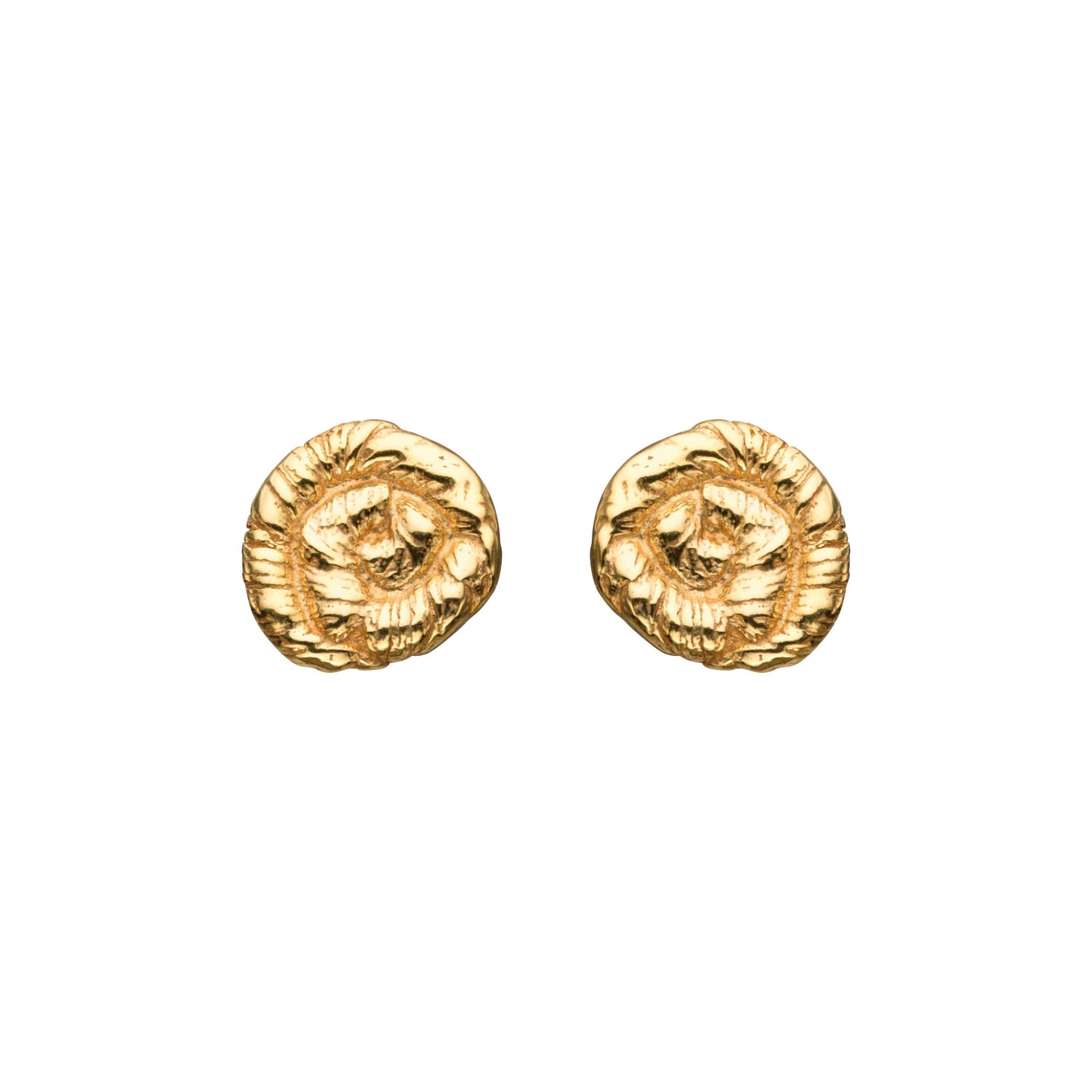 Eva Remenyi Women's Nautilus Earrings Gold