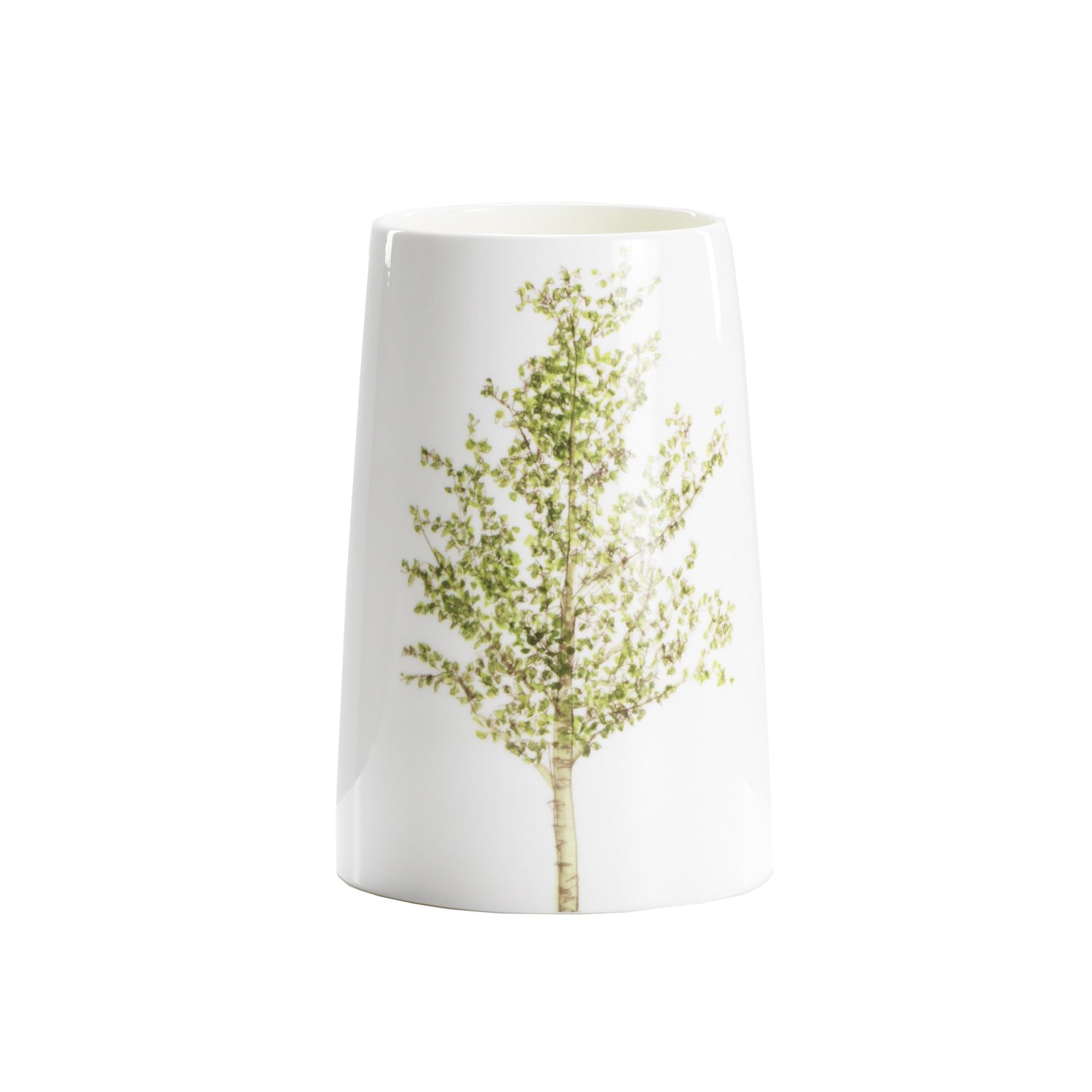 Silver Birch Vase Helen Beard