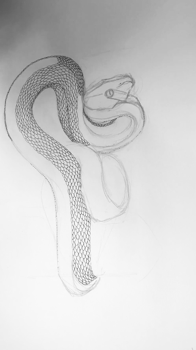 How to draw 3d Snake Step by step