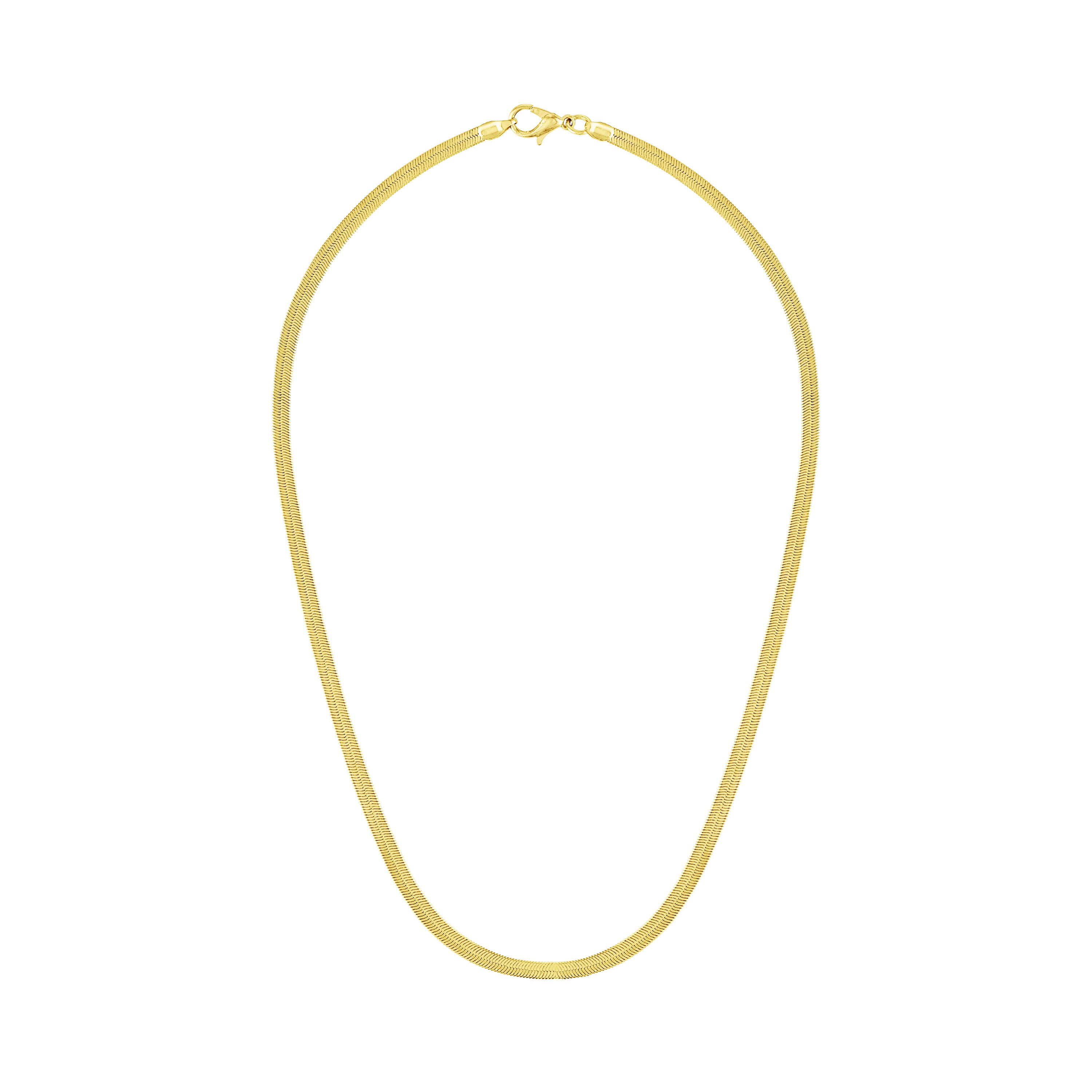Shop Olivia Le Women's Gold Sahira Herringbone Necklace