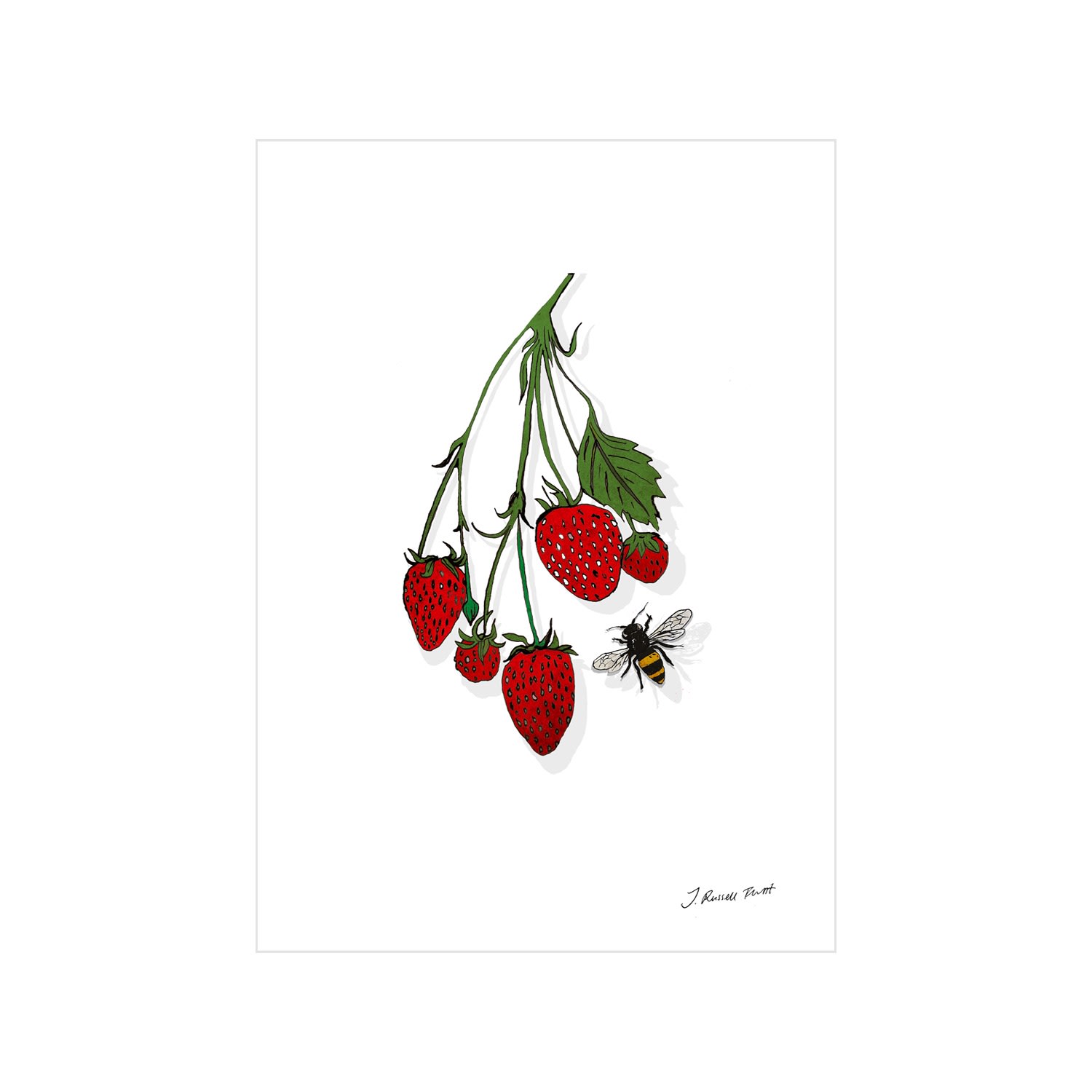 The Strawberry Vine Signed Print A4 210 X 297Mm Jessica Russell Flint