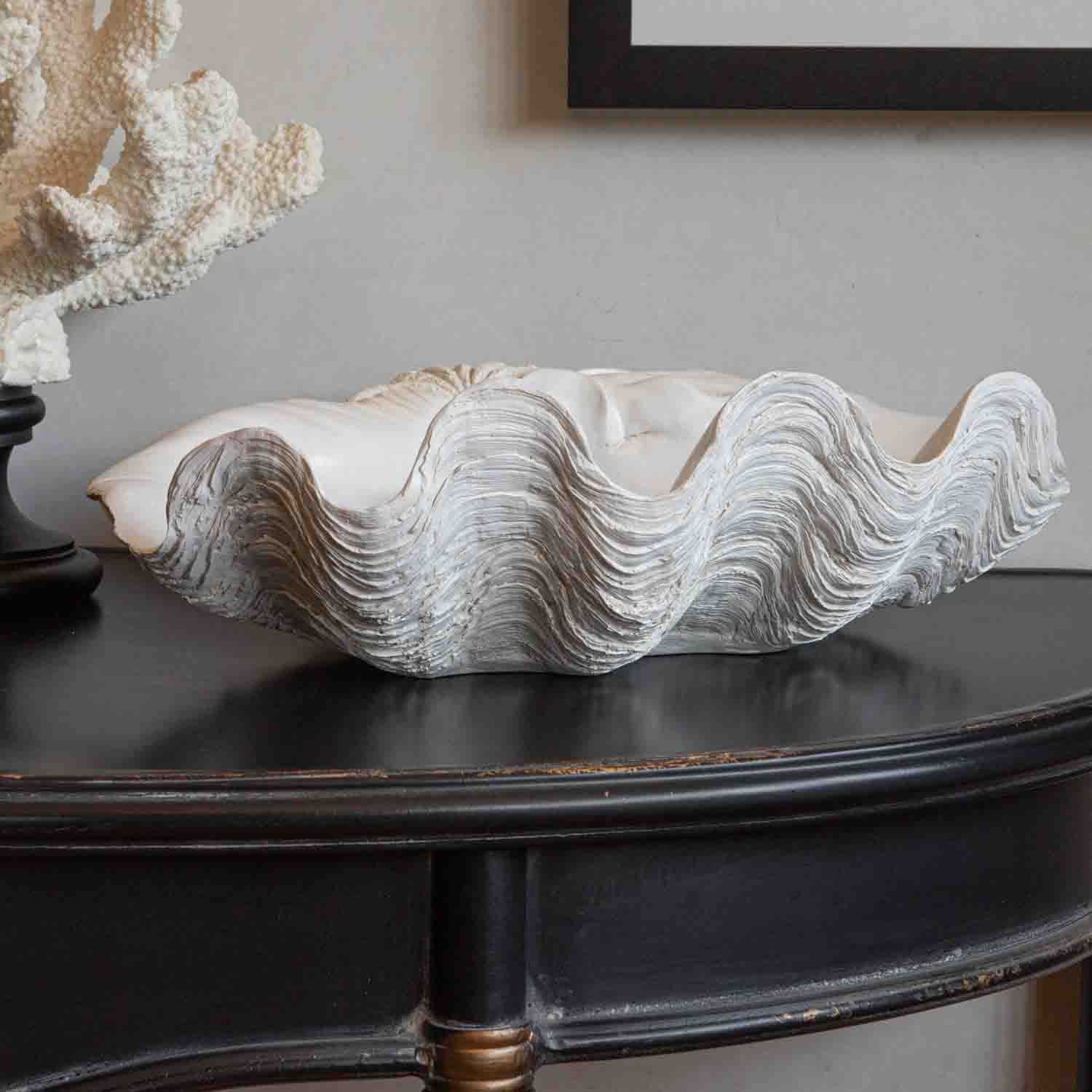 Large Natural Clam Shell - Cafiero Select Home