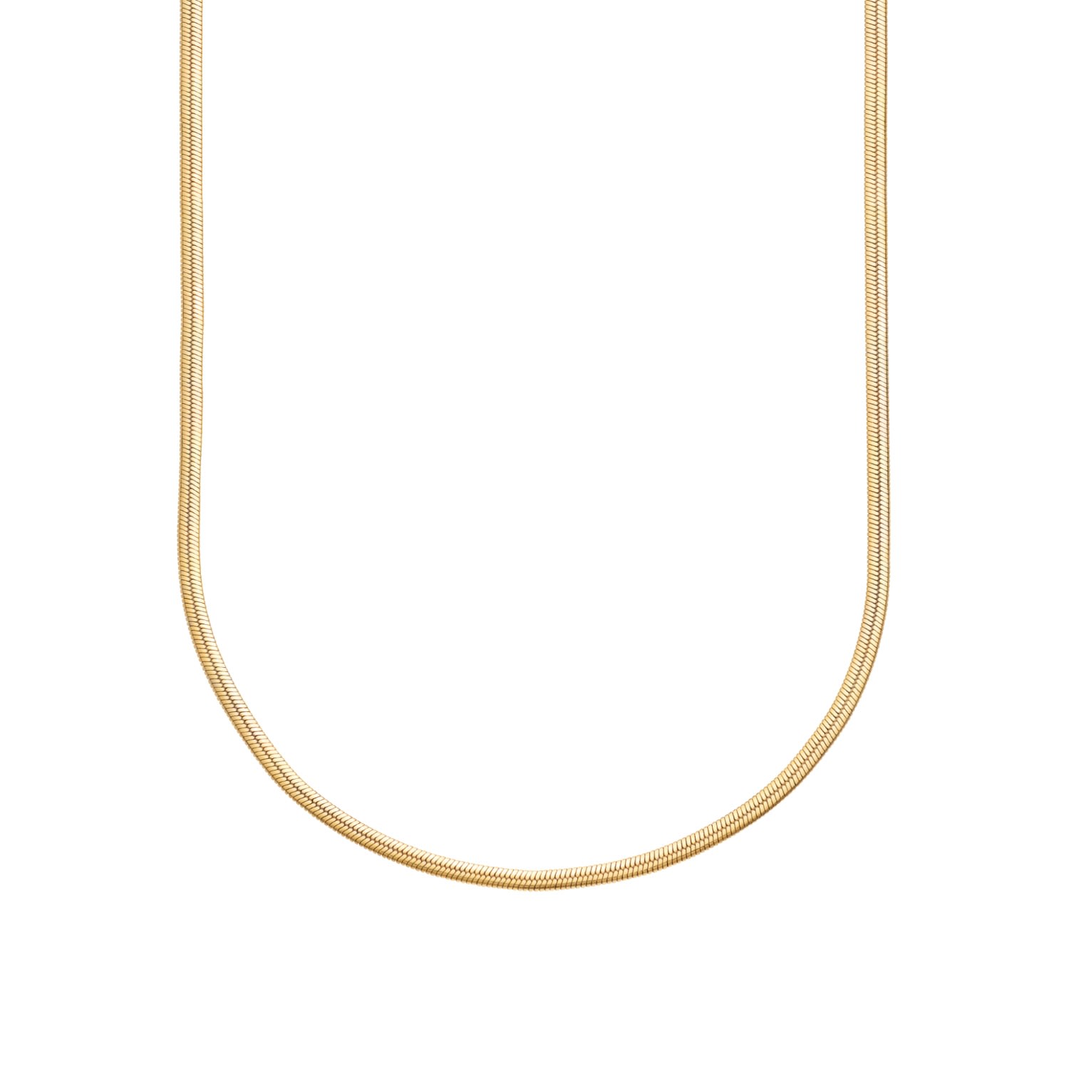 Scream Pretty Women's Gold Mini Flat Snake Chain Necklace In Gold