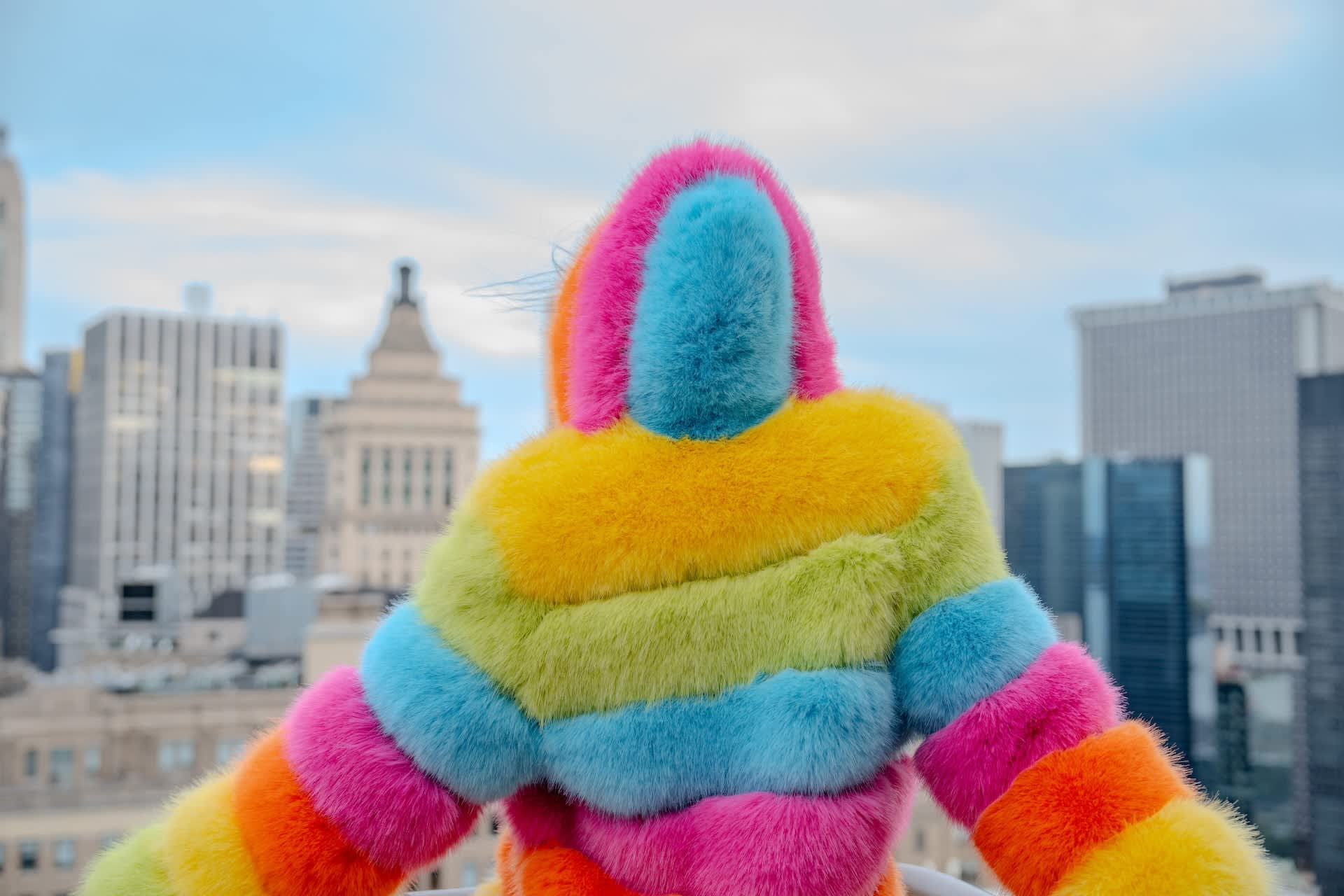 Over The Rainbow Faux Fur Coat | HARMONIA NY | Wolf & Badger