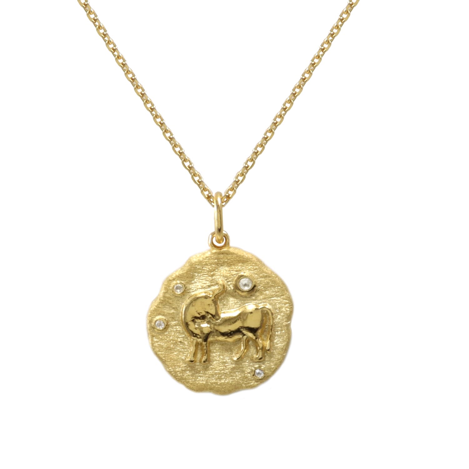 Women&rsquo;s Gold Taurus Zodiac Necklace | Hye Jane Jewelry