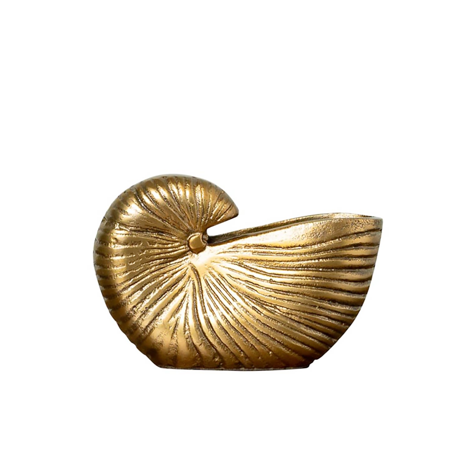 Golden Vase Shell Canister Catchii