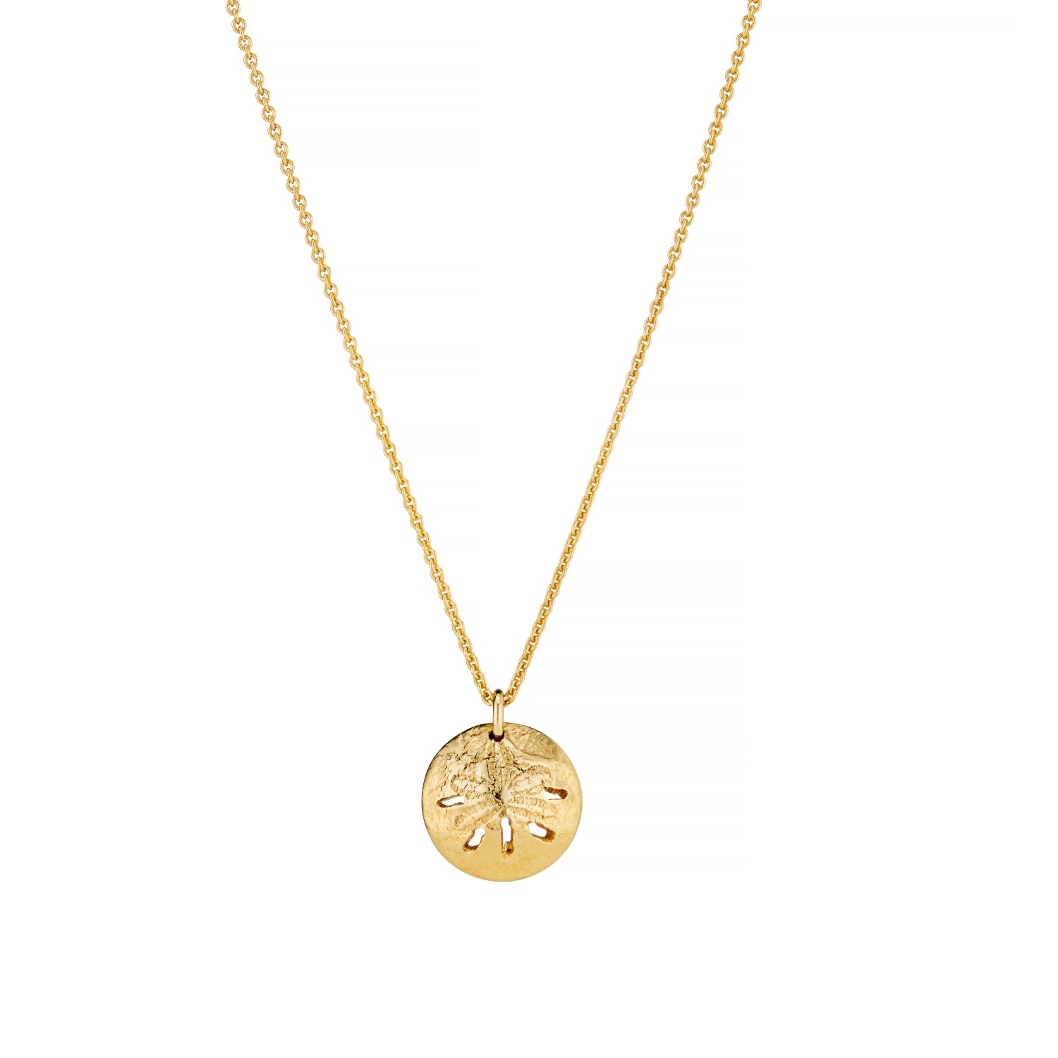Posh Totty Designs Women's Gold Plated Curved Sand Dollar Necklace In Gold