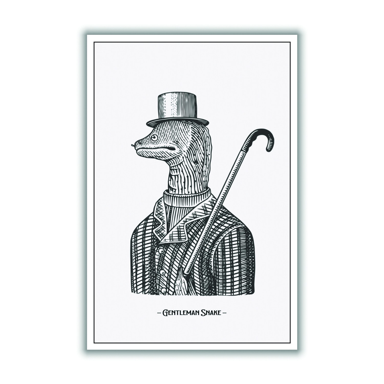 Grey Gentlemen Snake A2 420 X 594Mm Stanley Print House