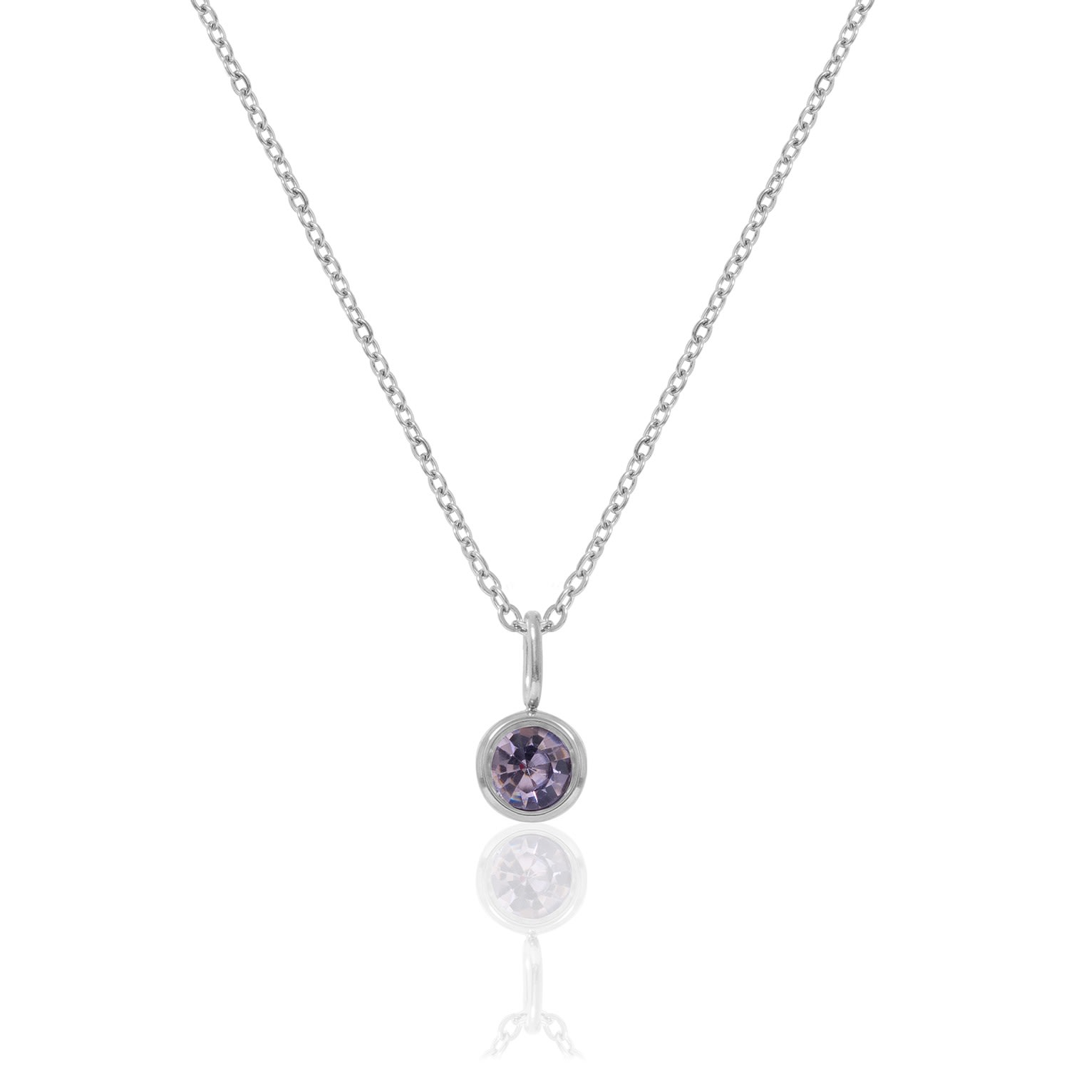 A Weathered Penny Women's Pink / Purple / Silver Silver Birthstone Necklace - February