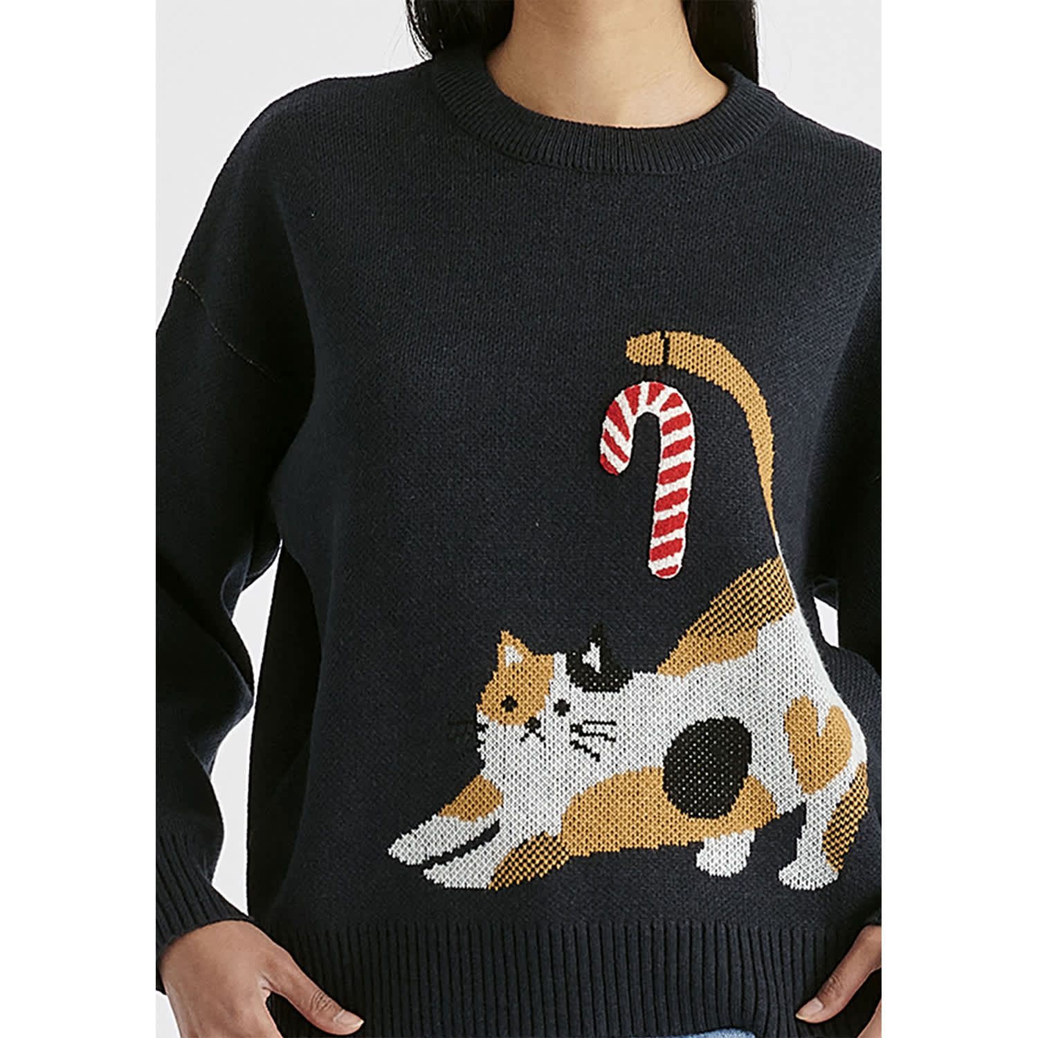 Christmas Jumper With Cat & Candy Cane In Navy | PAISIE | Wolf 