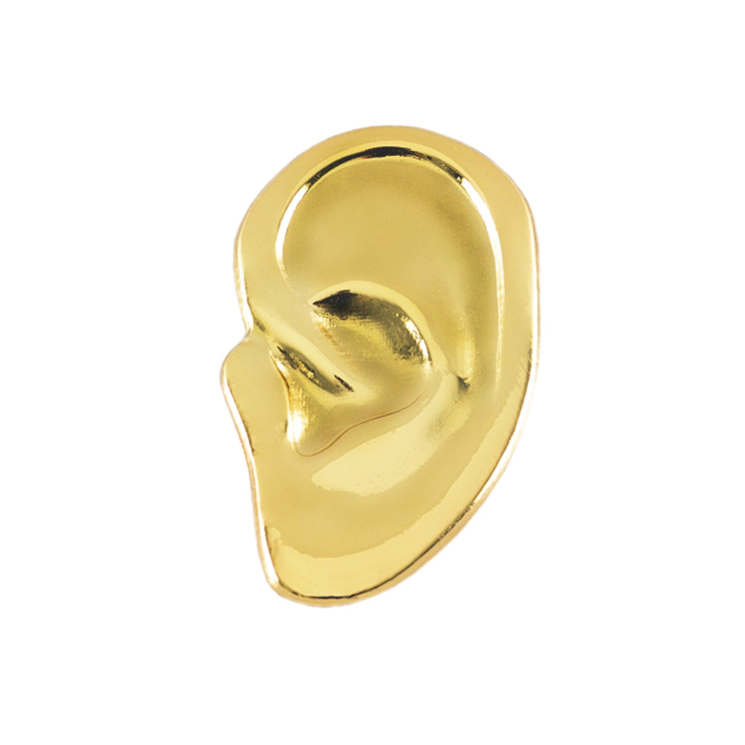 Golden Pin Ear Make Heads Turn Wolf Badger