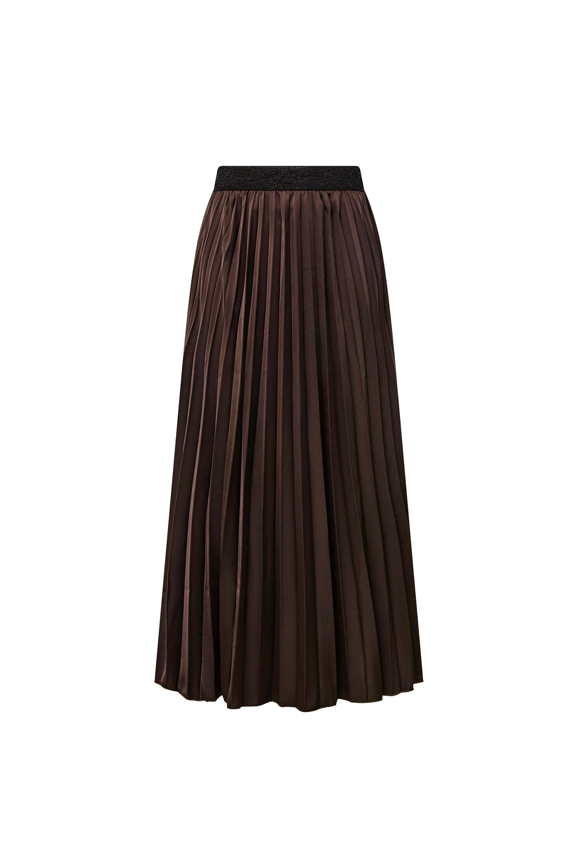 James Lakeland Women's Brown Pleated Maxi Skirt In Brown