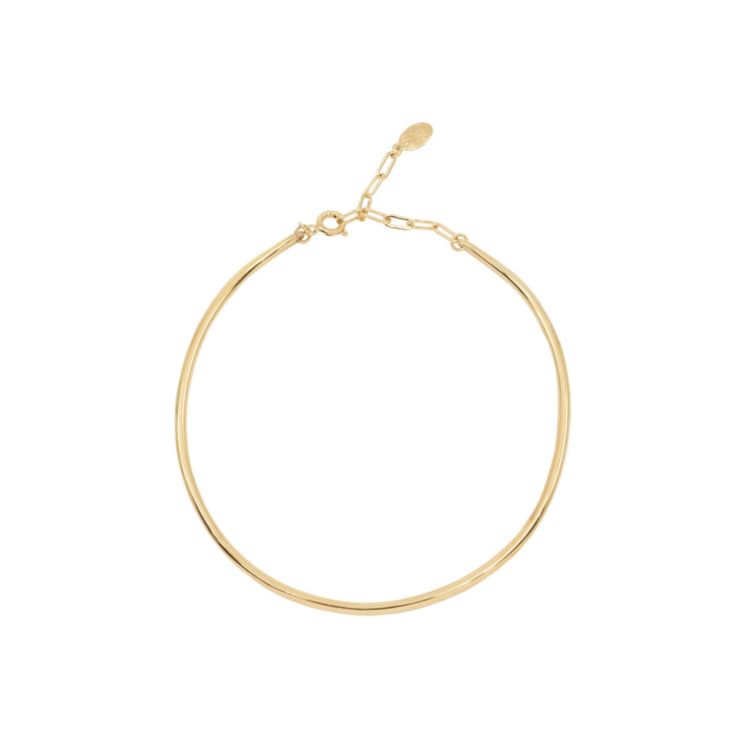 Atelier Petites Pierres Women's Gold / Rose Gold The One - Wire Anklet