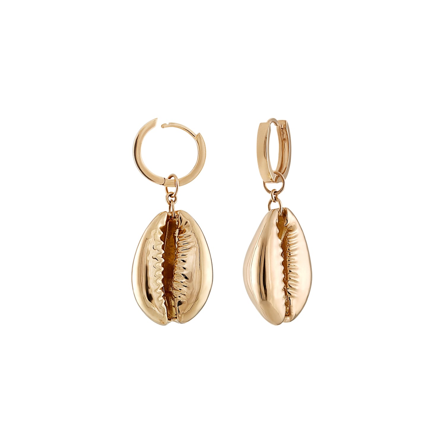 Zigleys Women's Cowrie Gold Earrings In Gold