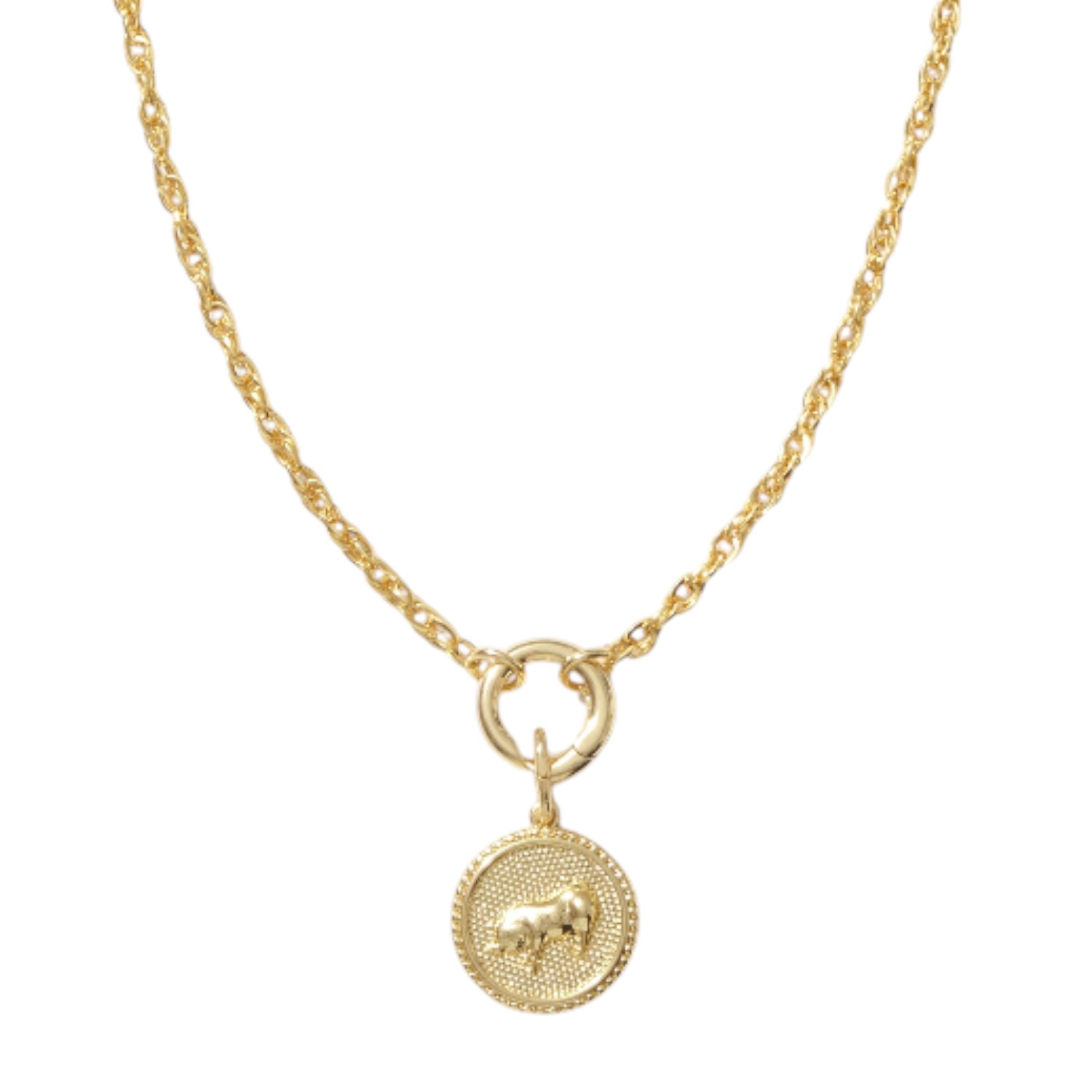 Lunar Long Chain Medallion Necklace- Rat | Alexie of Athens | Wolf
