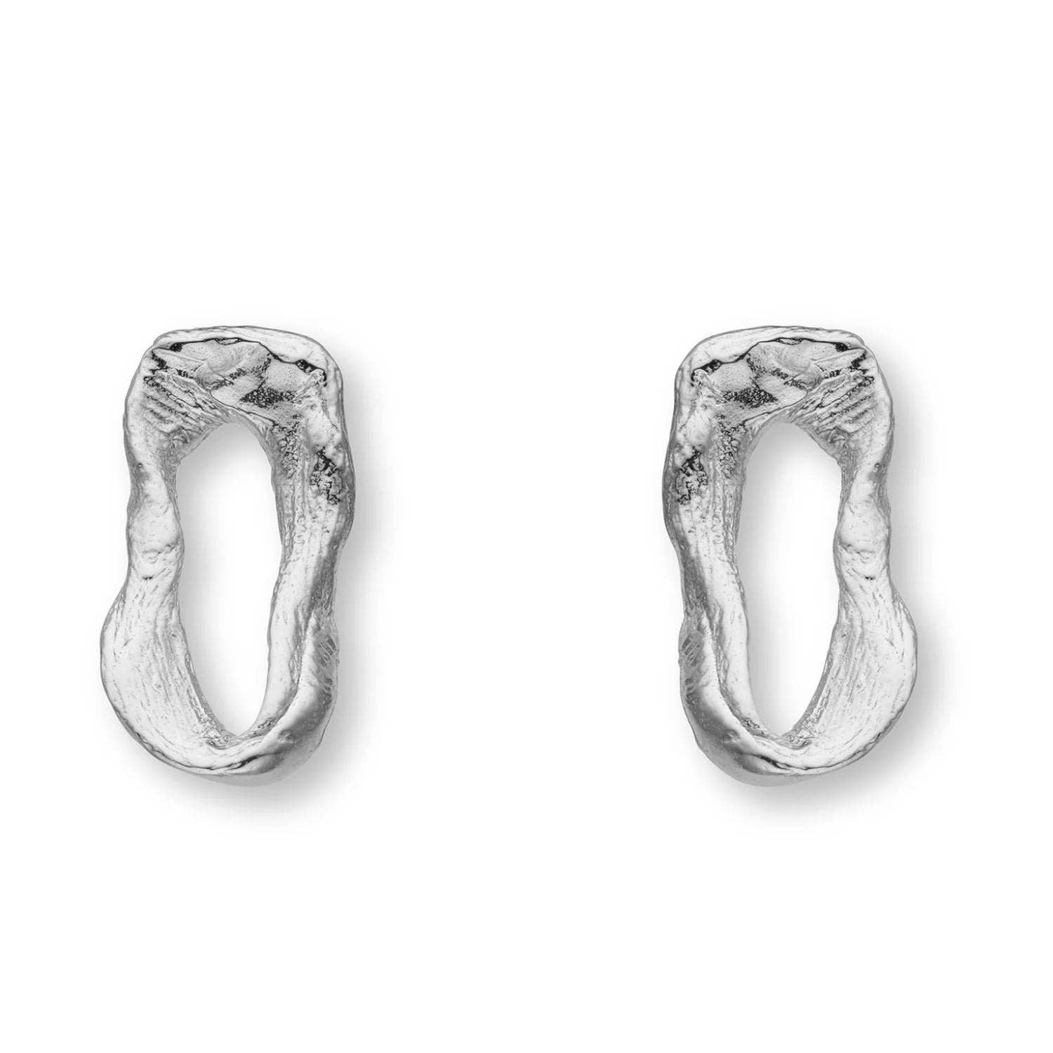 Eva Remenyi Women's Vacation Small Chain Earrings Silver