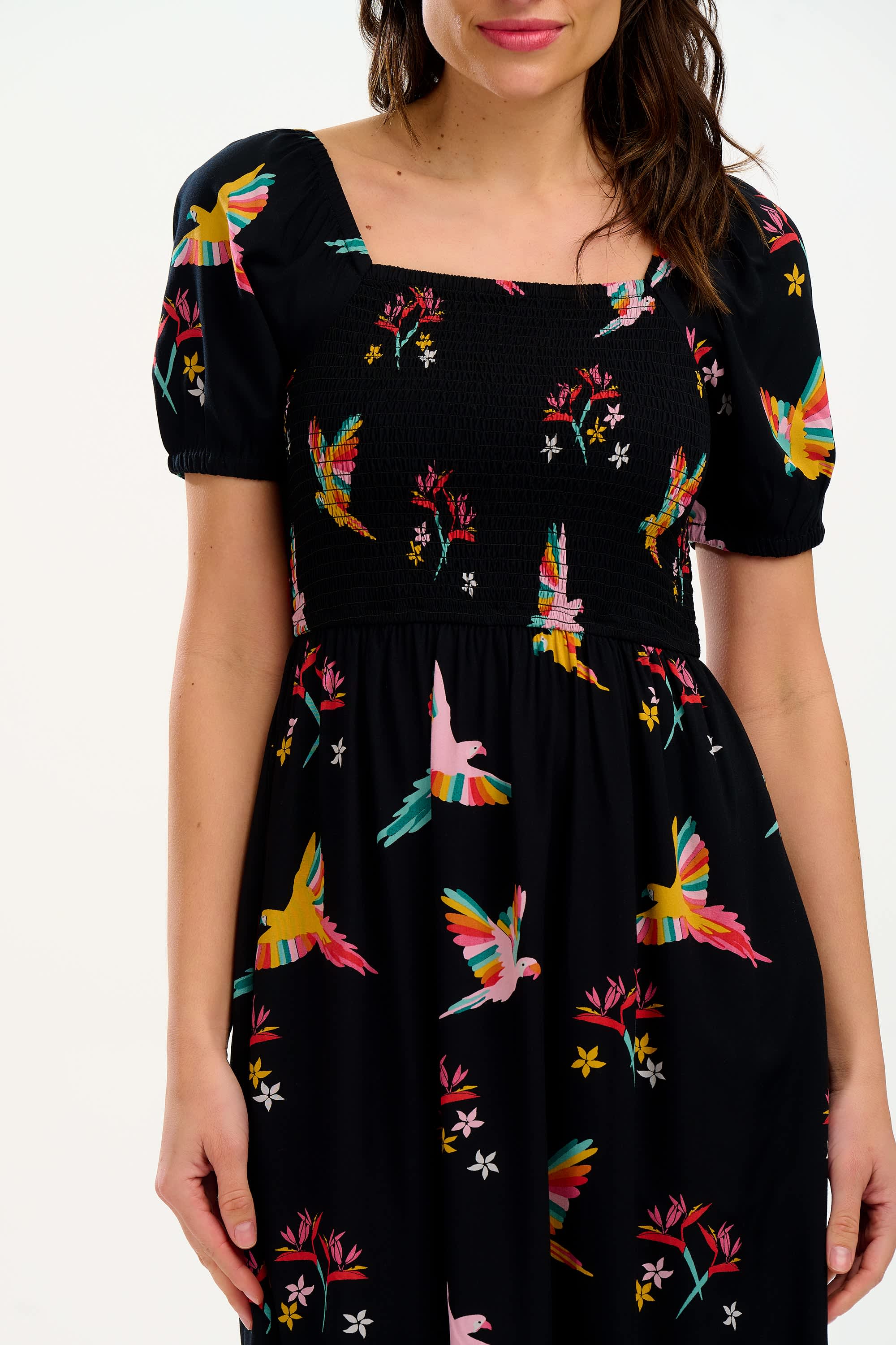 Sugarhill Brighton Jolene Midi Shirred Tropical Parrots Dress - Black