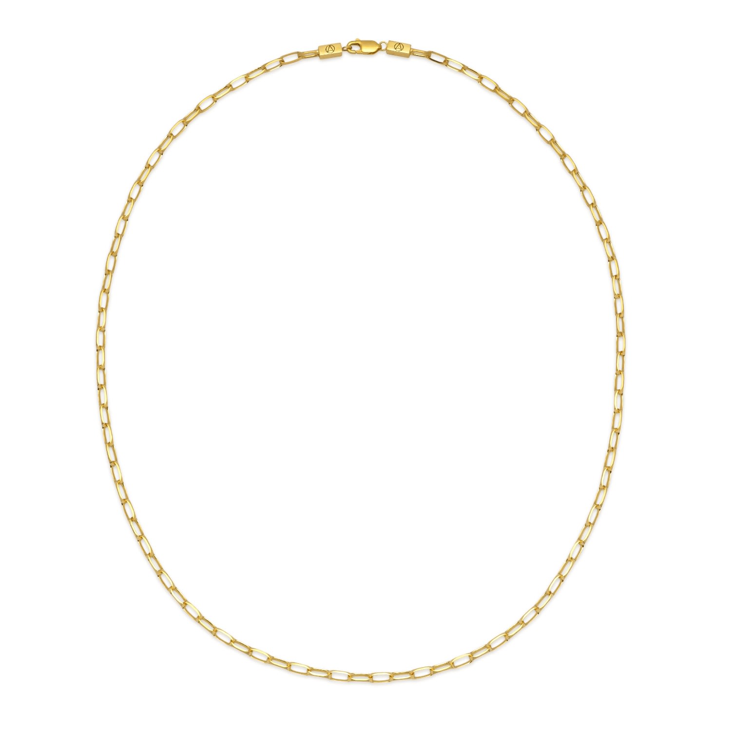 Men’s Chain Link Necklace In Gold Northskull