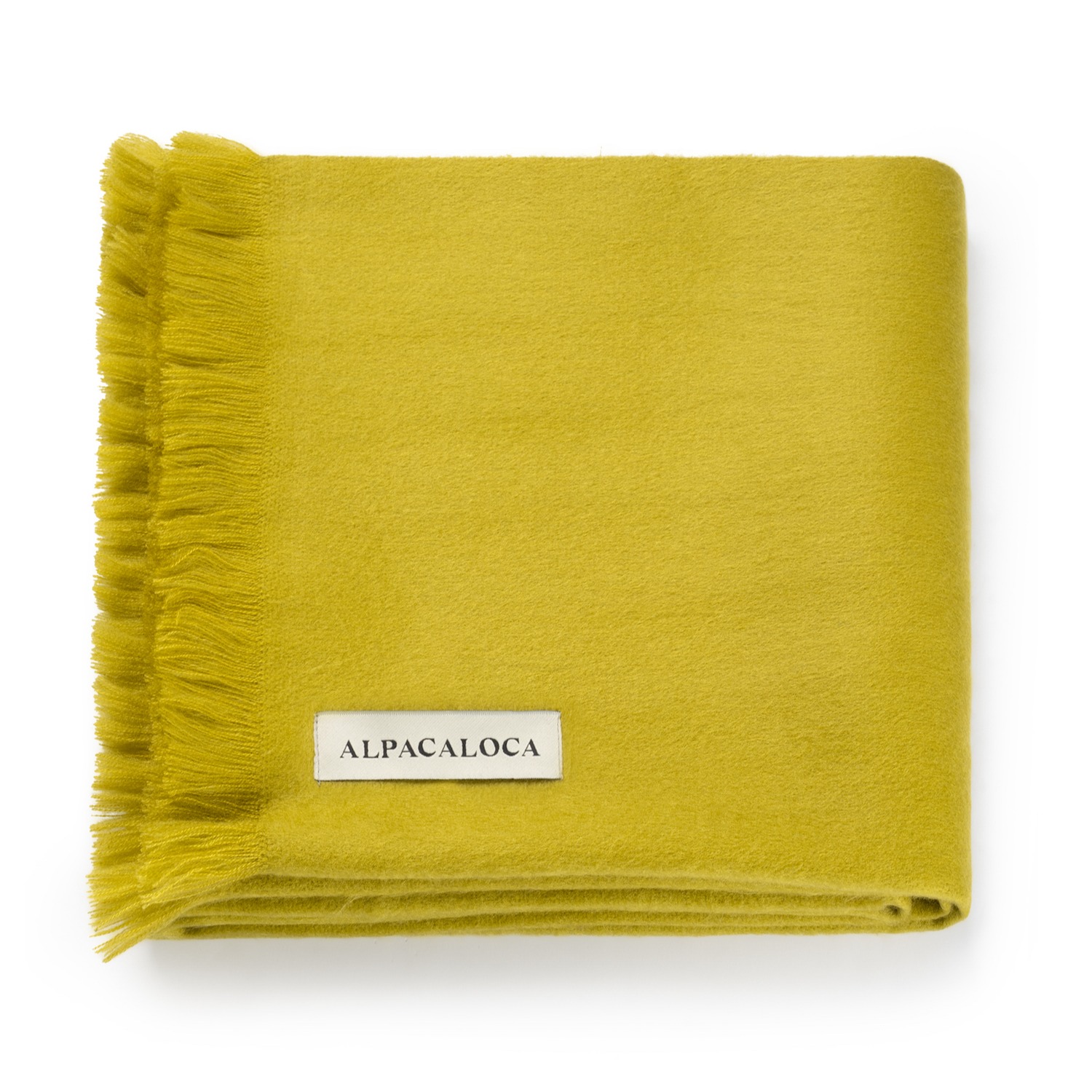 Alpaca Loca Women's Scarf Golden Green In Green