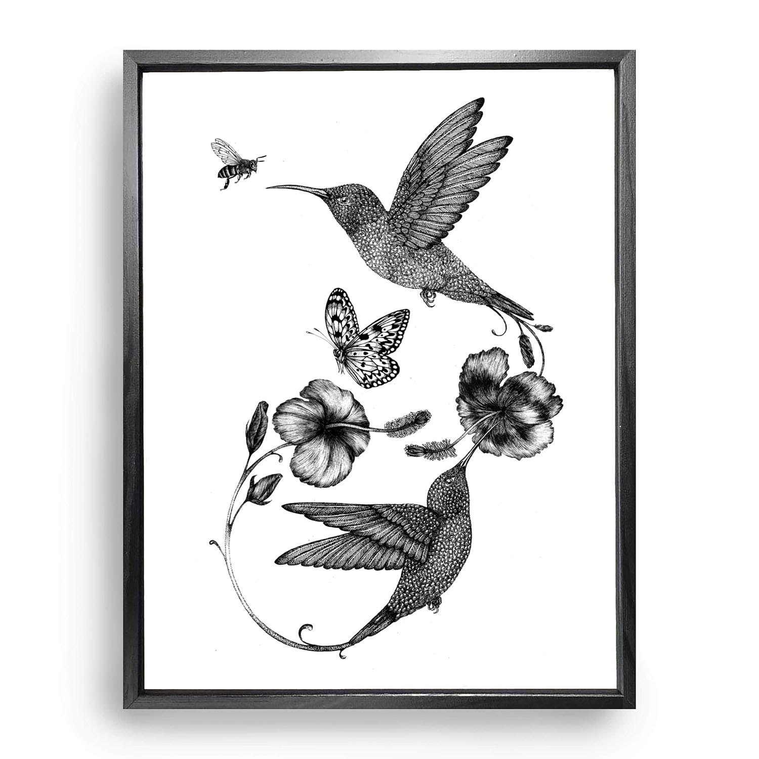 Emily Carter Black Hummingbird & Hibiscus Fine Art Print In Gray