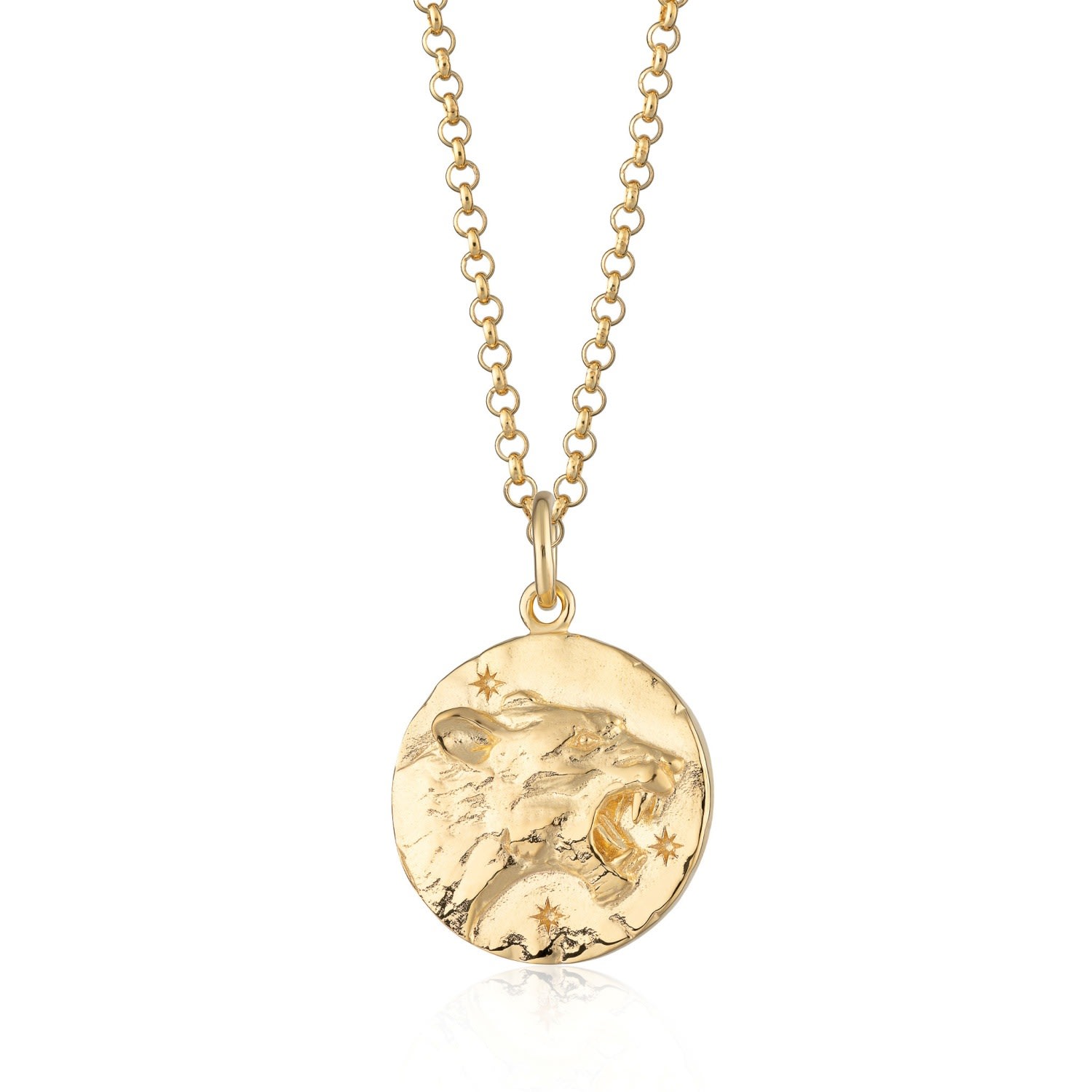 Women’s Gold Leo Zodiac Necklace Scream Pretty