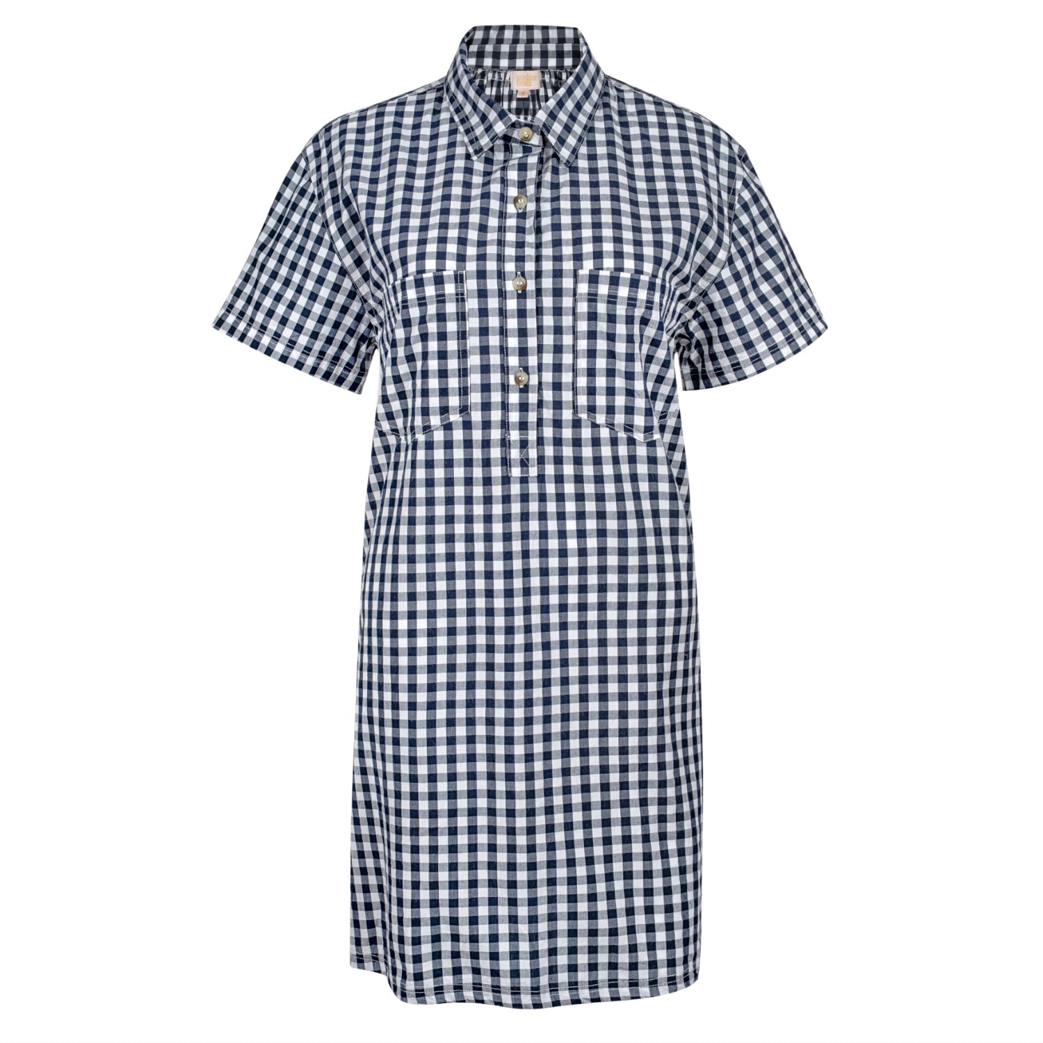 Sunshine Tienda Women's Blue / White Navy Gingham Getaway Mini Dress In Multi