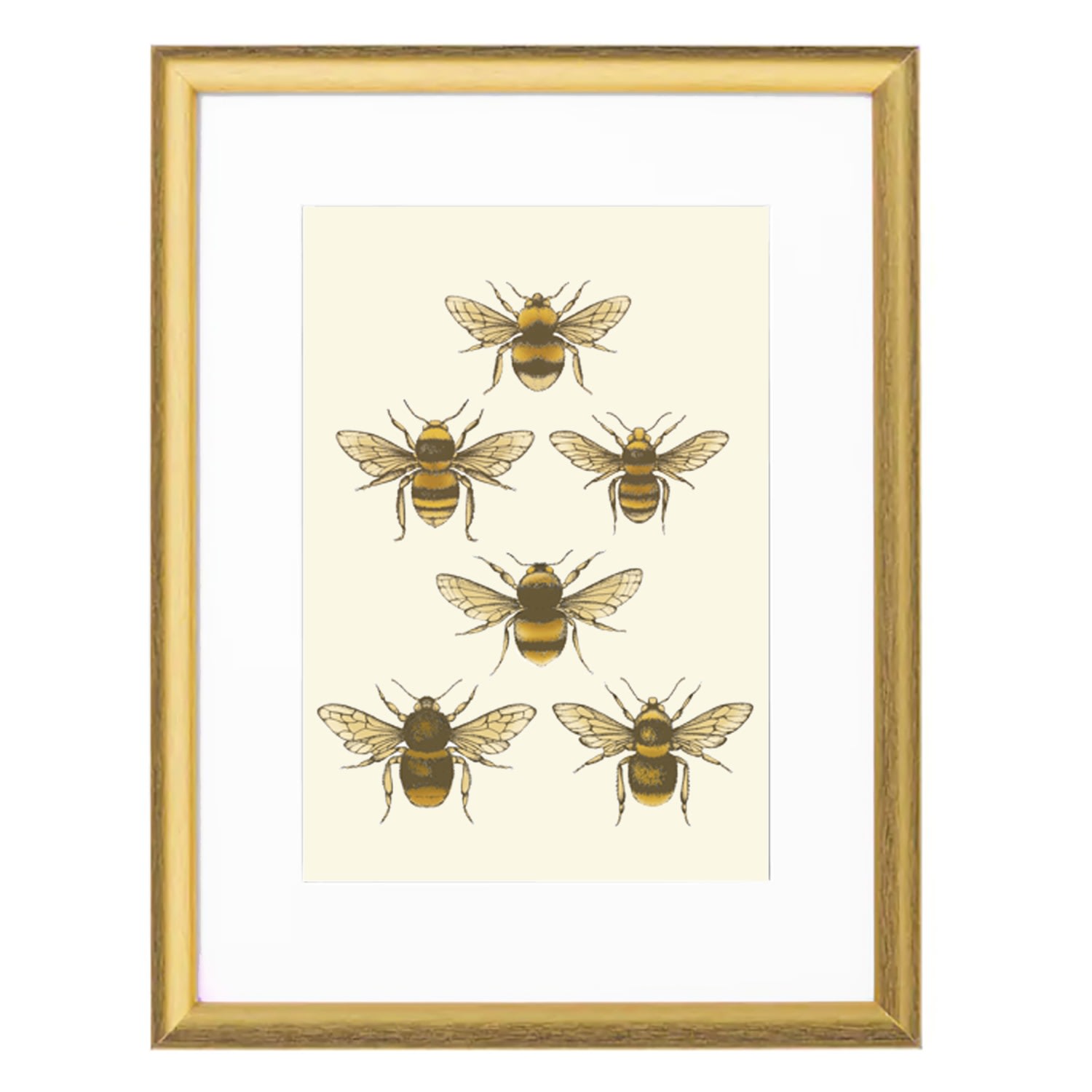 Gold ’British Bees’ Fine Art Print A4 - Colour A4 210 X 297Mm Emily Carter