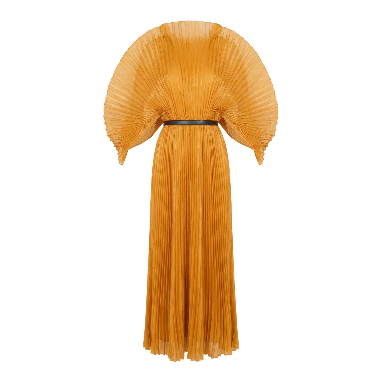 Cy Boutique Women's Pleated Long Dress With Organza Pleated Cape Sleeves In Gold