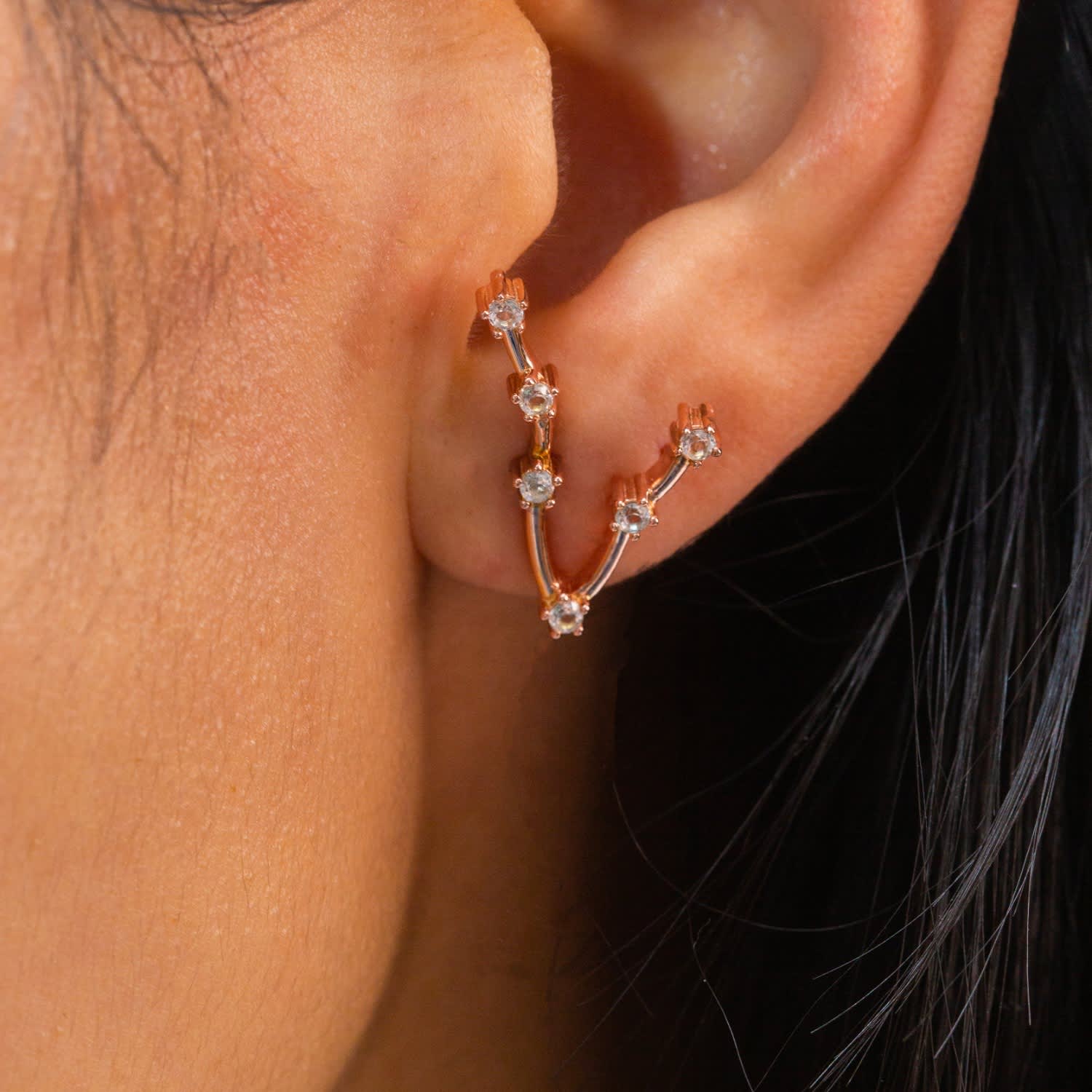 Pisces Constellation Hoop Earrings